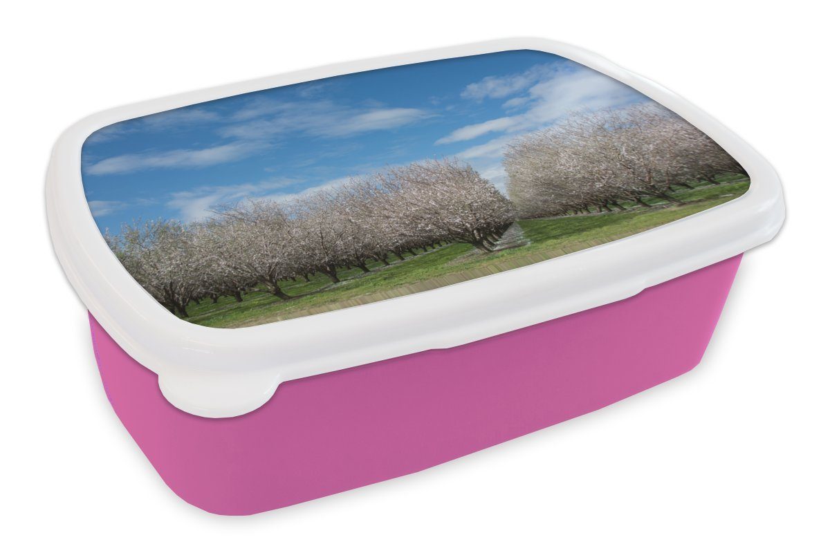 MuchoWow Lunchbox Mandelbaumreihen, Kunststoff, (2-tlg), Brotbox für Erwachsene, Brotdose Kinder, Snackbox, Mädchen, Kunststoff rosa