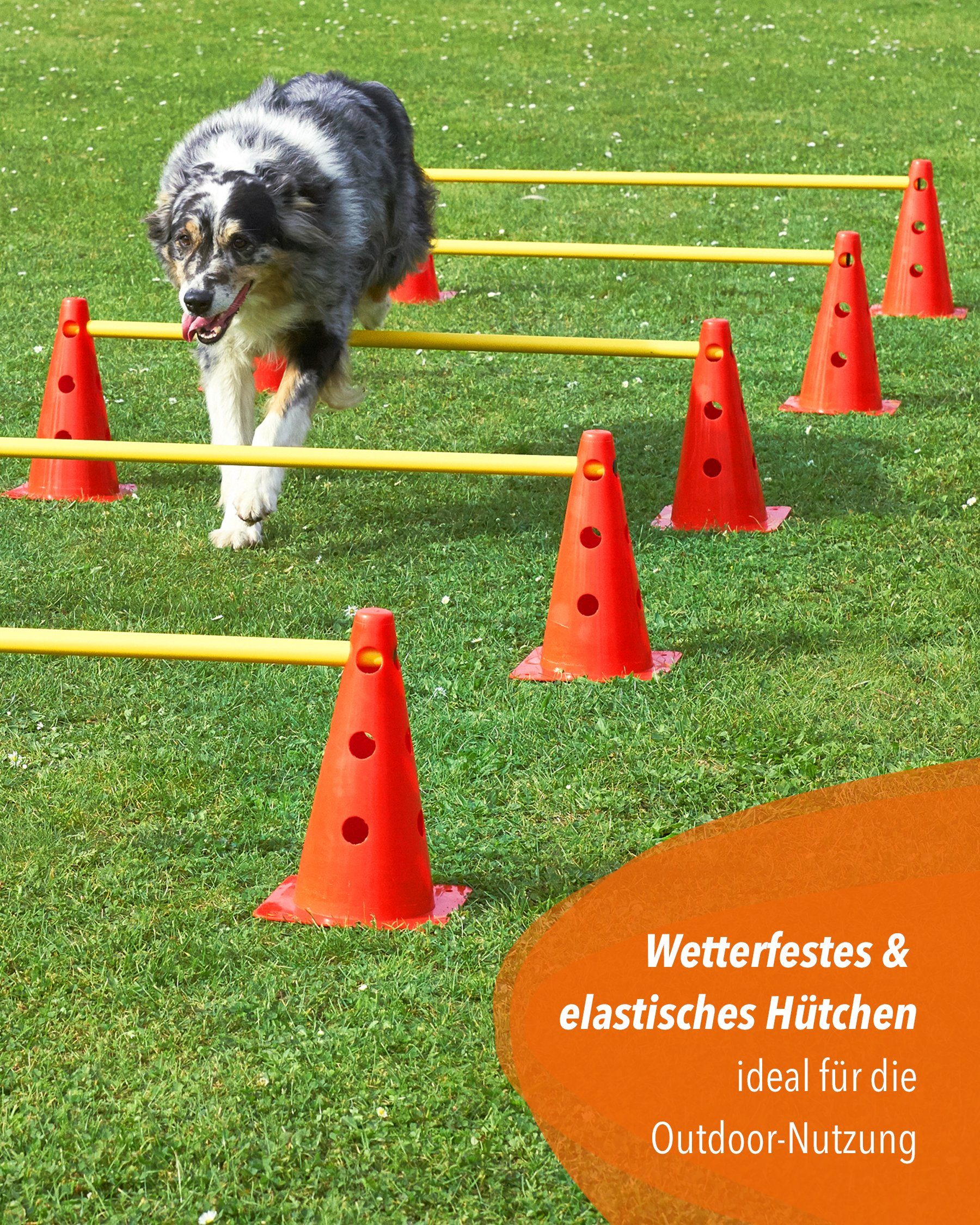 Superhund Markierungshütchen Loch-Markierkegel 30 cm Farbe Orange