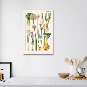 Posterlounge Leinwandbild Elizabeth Rice, Zwiebeln und andere Lauchgemüse (englisch), Esszimmer Landhausstil Grafikdesign