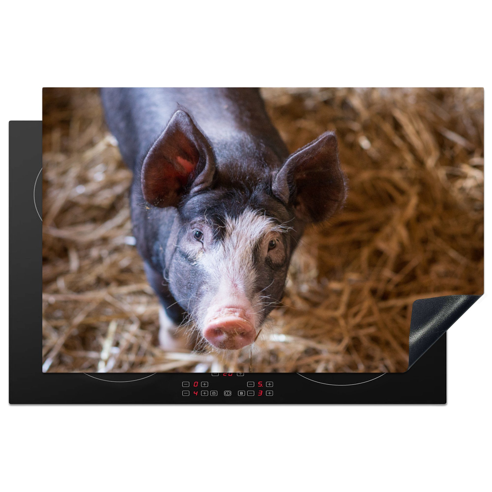 MuchoWow Herdblende-/Abdeckplatte Schwein - Stroh - Tier, Vinyl, (1 tlg), 81x52 cm, Induktionskochfeld Schutz für die küche, Ceranfeldabdeckung
