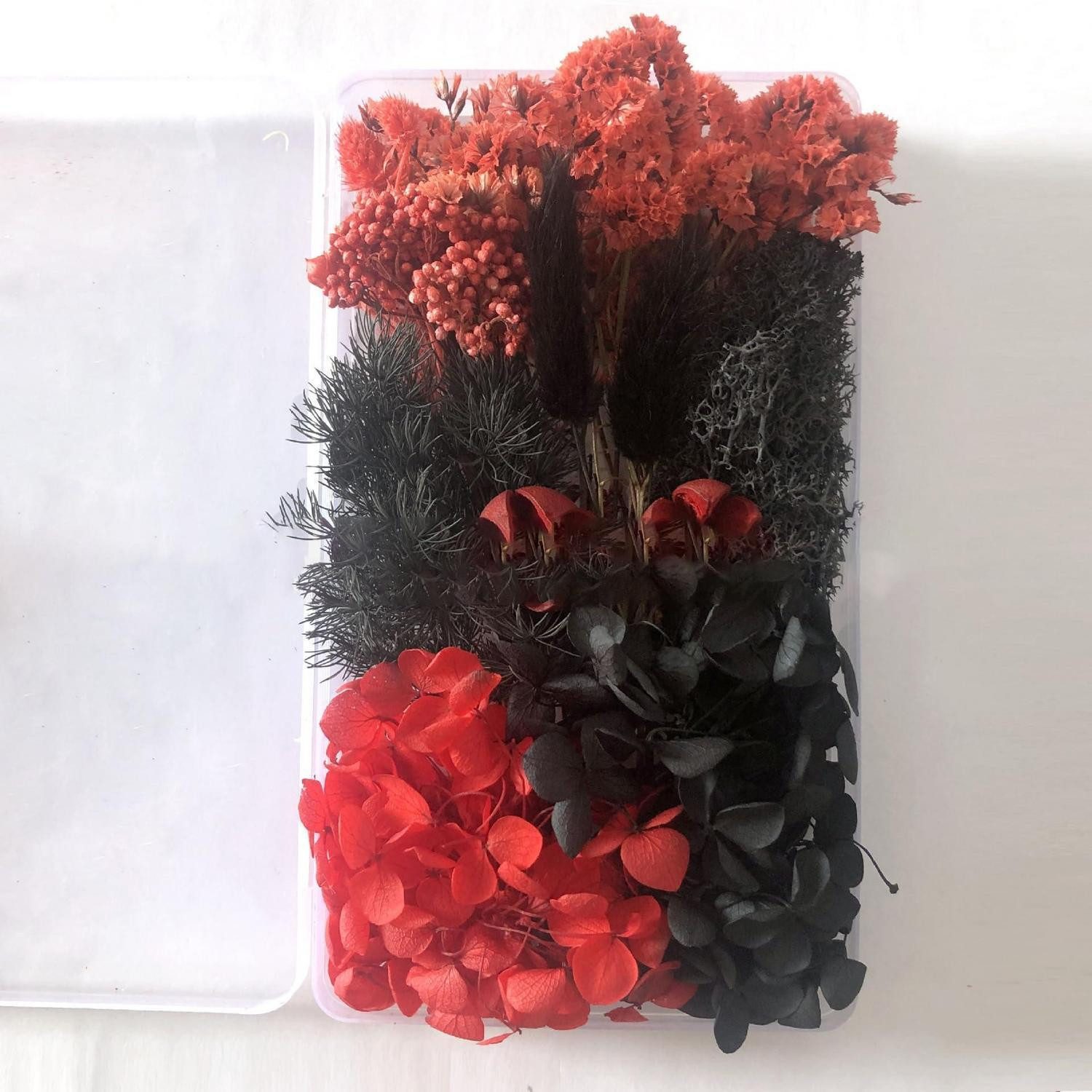 Trockenblume Trockenblumen Set Schwarz Rot DIY Basteln 17.5cm, LuxusKollektion