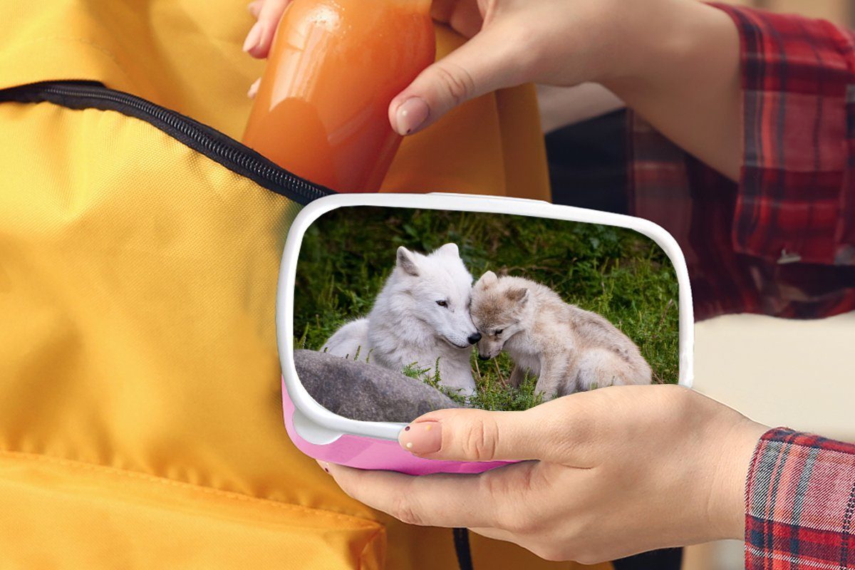 MuchoWow Lunchbox Wolf - für Welpe - Kinder, Snackbox, (2-tlg), Kunststoff, Erwachsene, Kunststoff rosa Mädchen, Brotbox Gras, Brotdose
