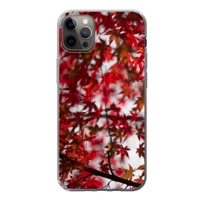 MuchoWow Handyhülle Rote Blätter eines japanischen Ahorns Handyhülle Apple iPhone 13 Pro Max Smartphone-Bumper Print Handy