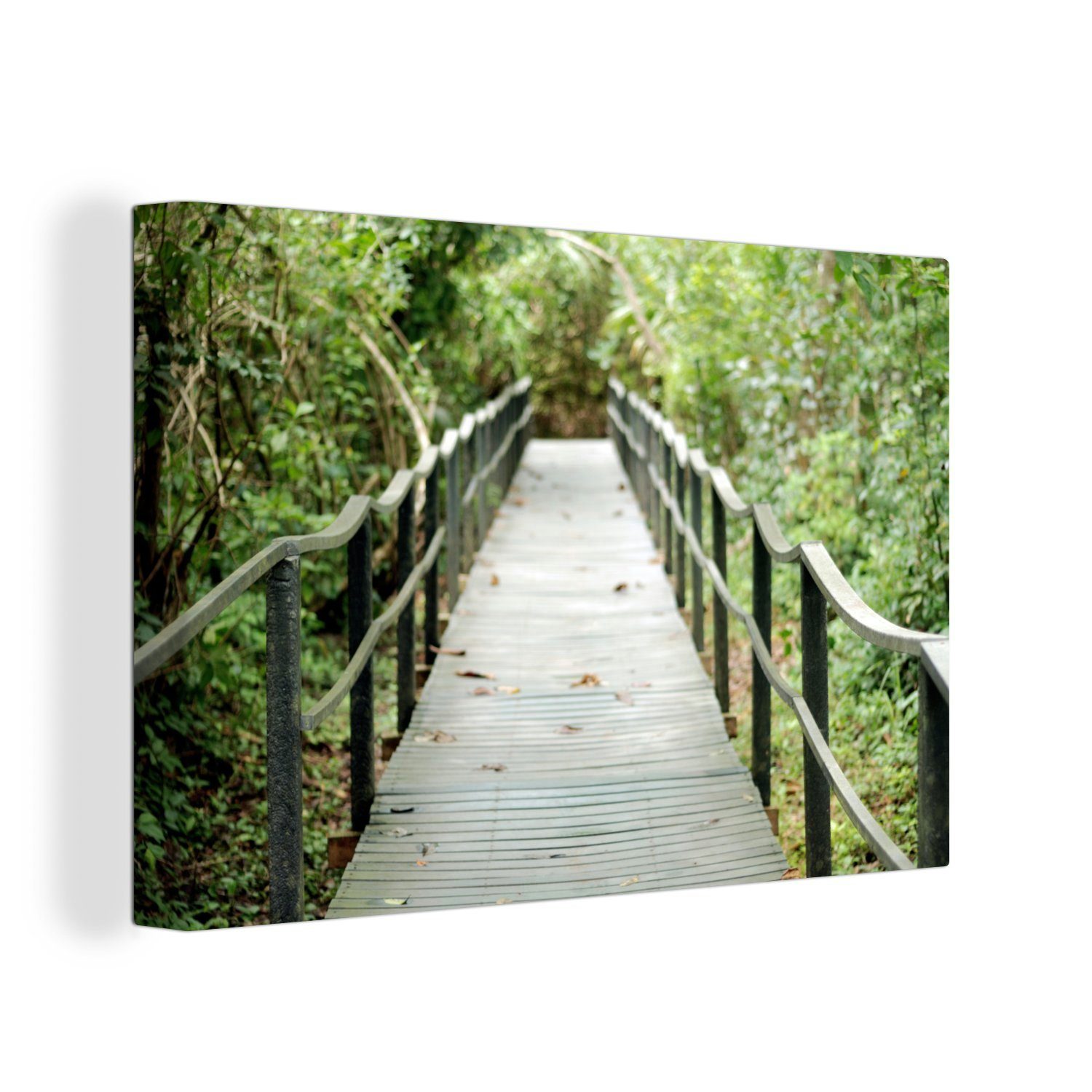 Leinwandbilder, Leinwandbild cm Wandbild des Brücke St), (1 Cahuita-Nationalparks, OneMillionCanvasses® im alte Die Aufhängefertig, Wanddeko, 30x20 Dschungel