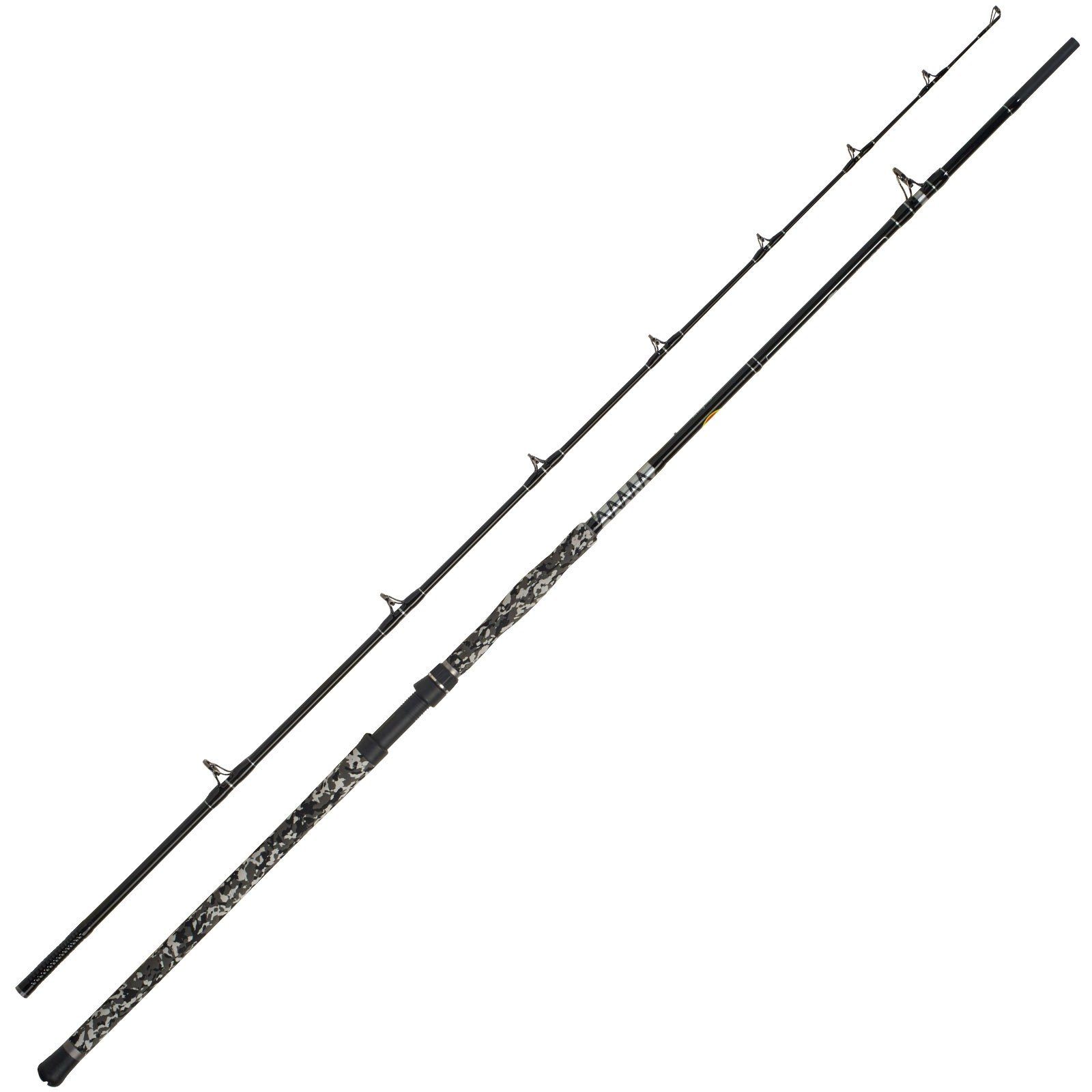 WFT Spinnrute, (2-tlg), Wallerrute WFT Cat 20-190g 2 2,70m Teile Cat Spin Big