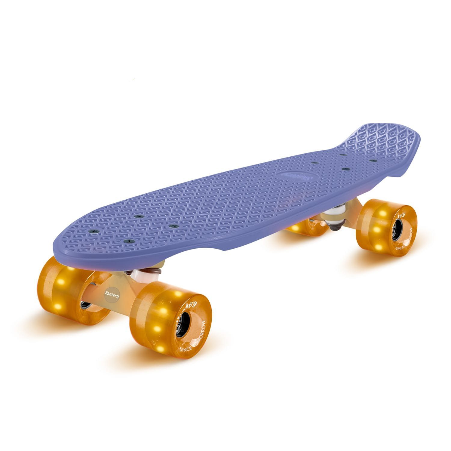 pro Cruiser Skateboard Mini fun Skateboard