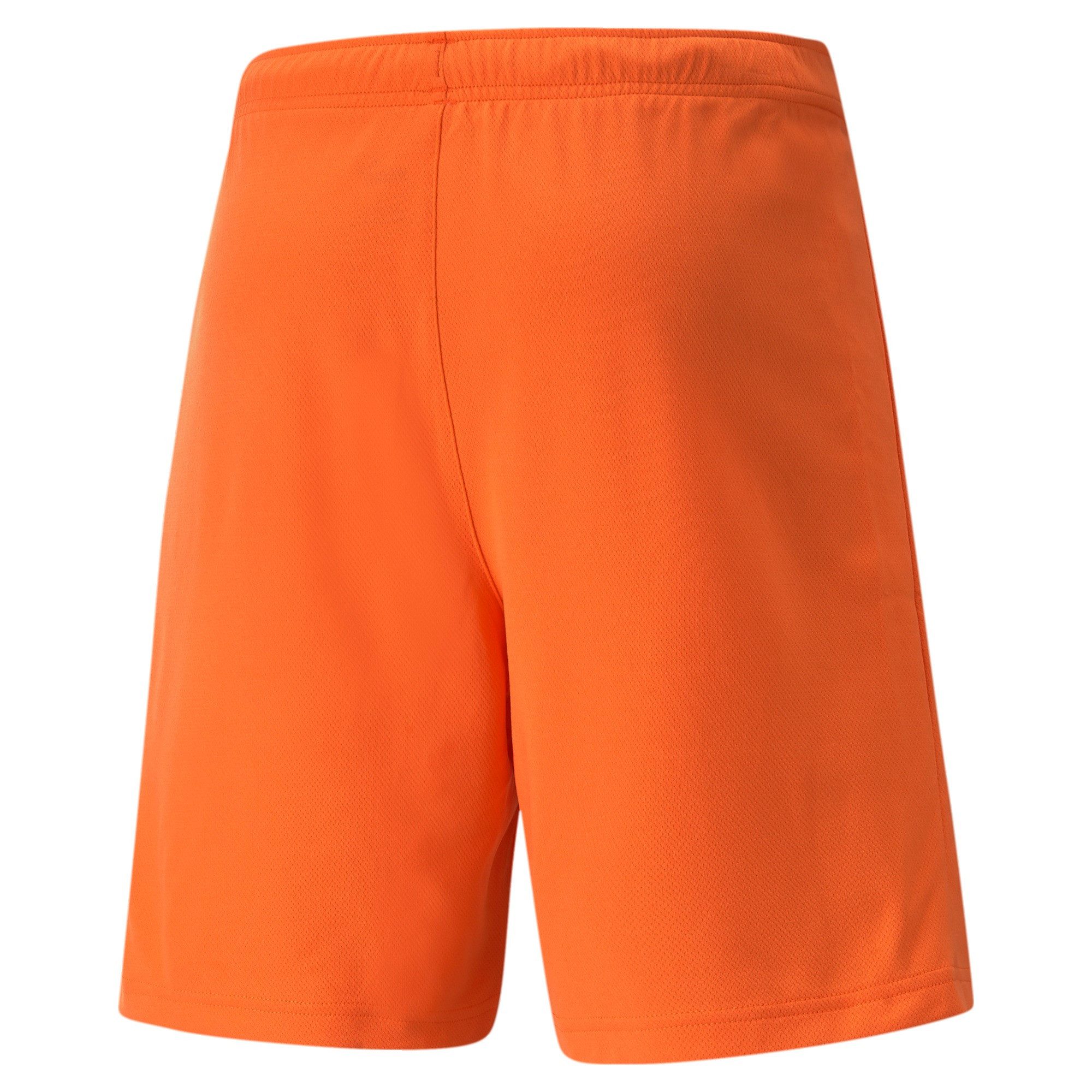 PUMA Trainingsshorts Puma Herren Shorts teamRISE günstig online kaufen