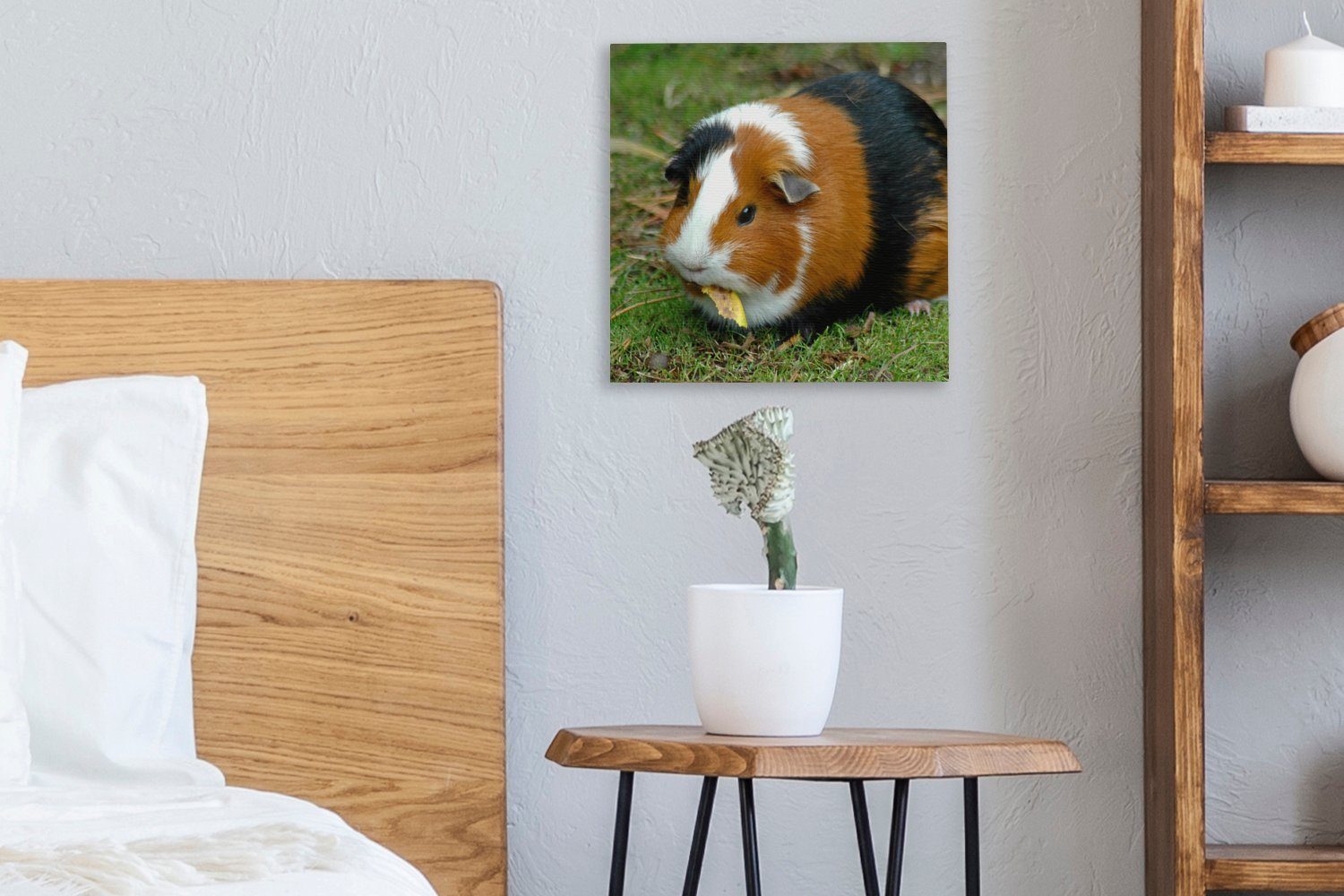 (1 Schlafzimmer St), Meerschweinchen draußen, OneMillionCanvasses® für Wohnzimmer Leinwand Leinwandbild Bilder