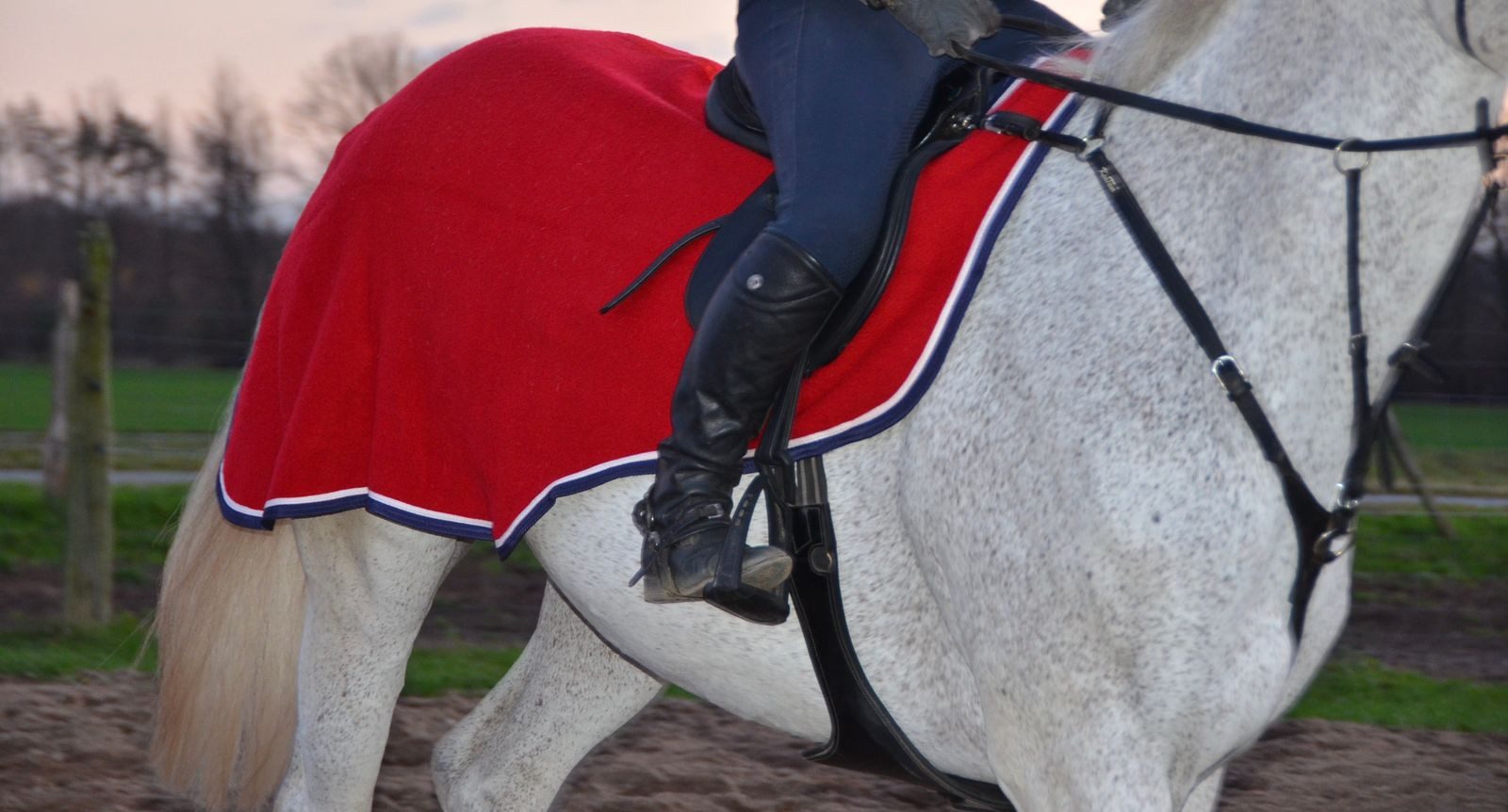 Horse Guard Pferde-Nierendecke Horse Guard Pferde Nierendecke Nierenschutz Sattel Hinterblatt Decke