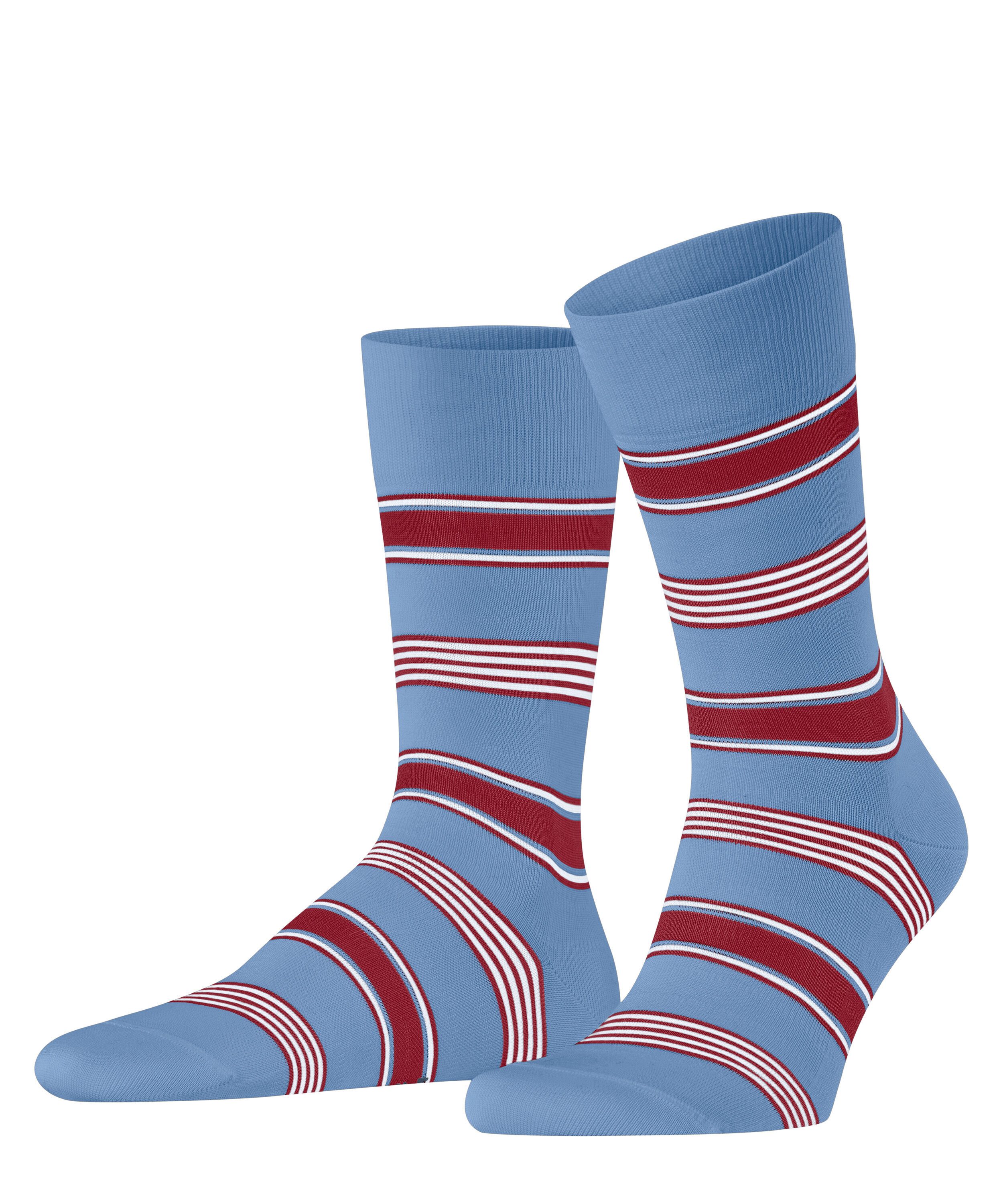 cornflower blue (6554)