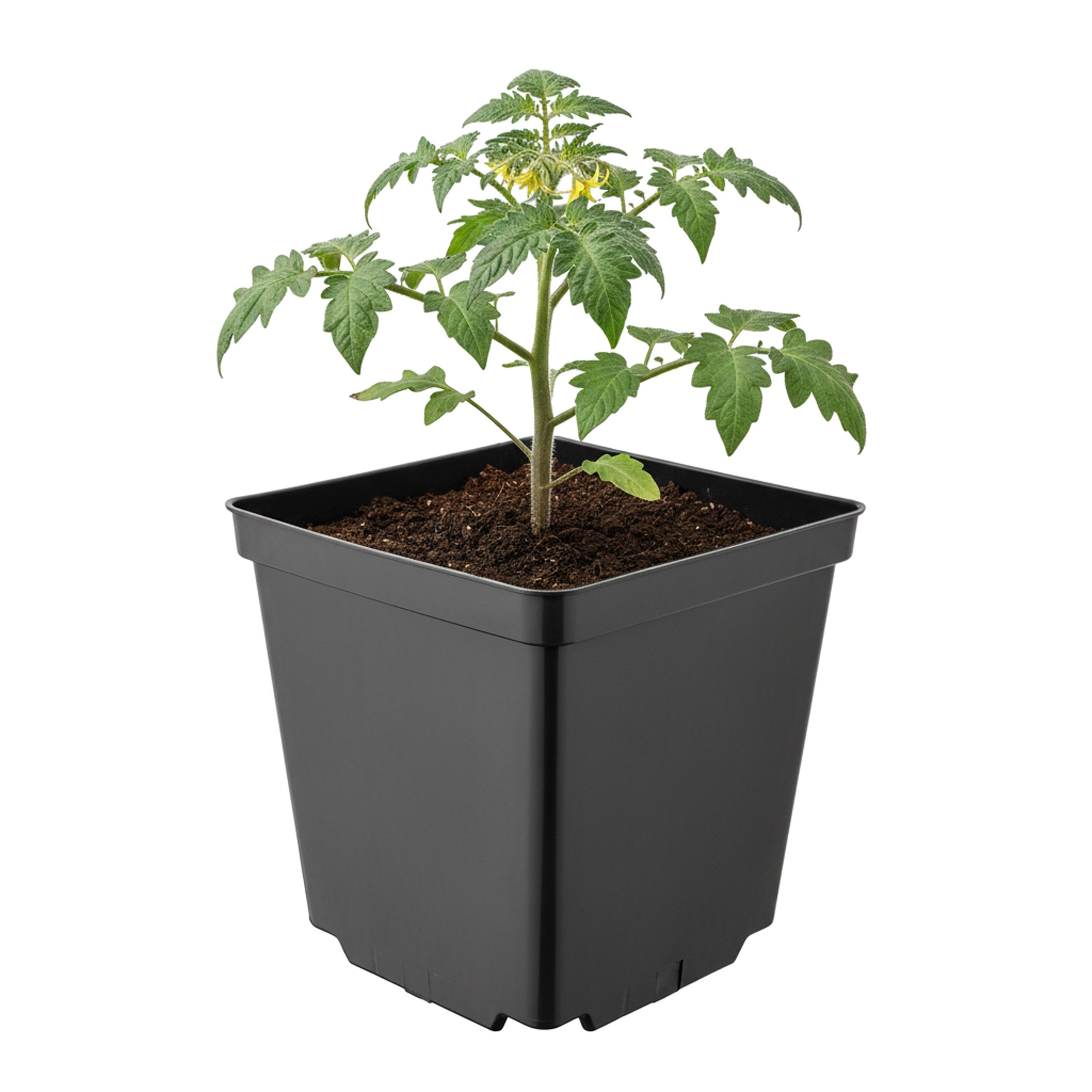 Garronda Blumentopf Kunststoff eckig mit Drainagelöchern Blumentopf für Garten GD-0199 (1 St)