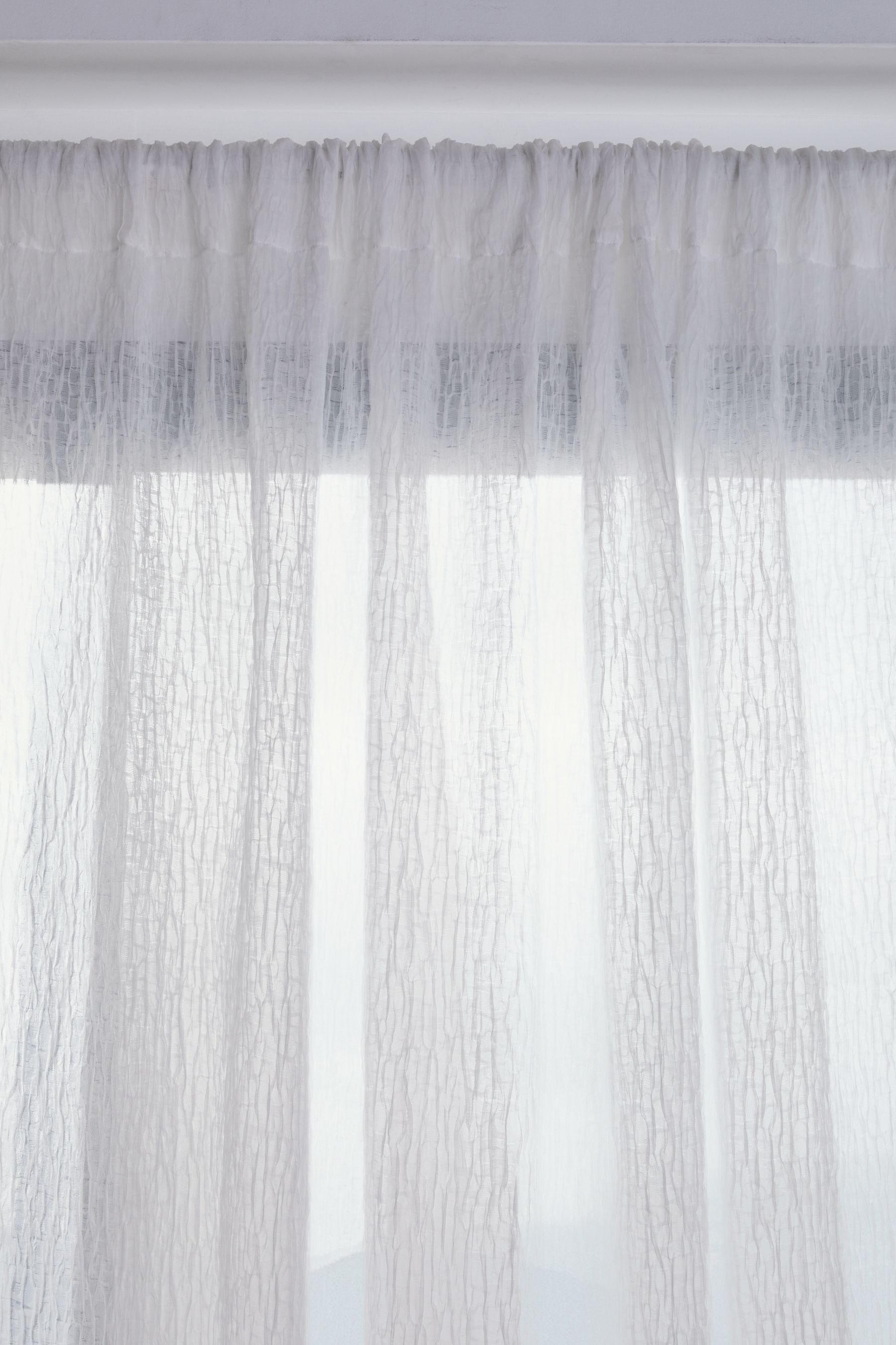 Next Gardine Transparente Voile-Bahnenvorhänge mit Schlaufen (1 St) günstig online kaufen