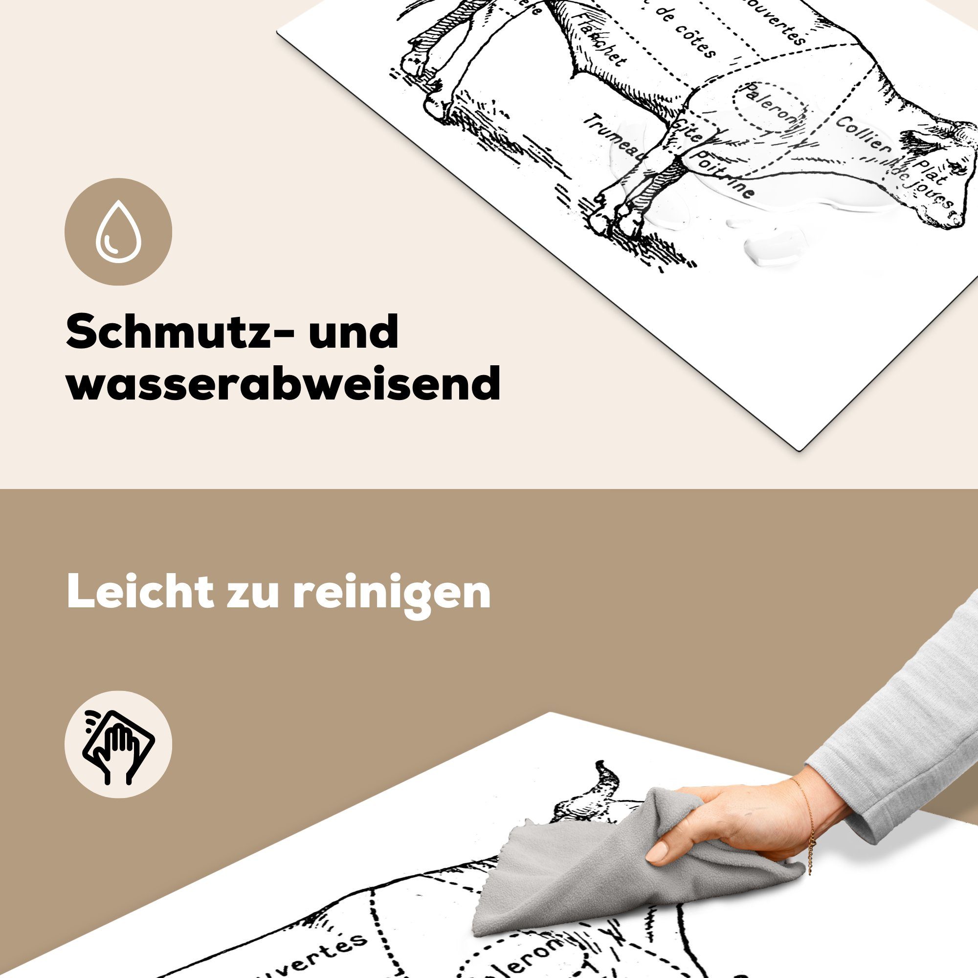 Ceranfeldabdeckung das 81x52 cm, die zeigt, Schema für für Vinyl, Antike Herdblende-/Abdeckplatte die Kuh Illustration, eine Metzgers tlg), Induktionskochfeld des Schutz küche, MuchoWow (1