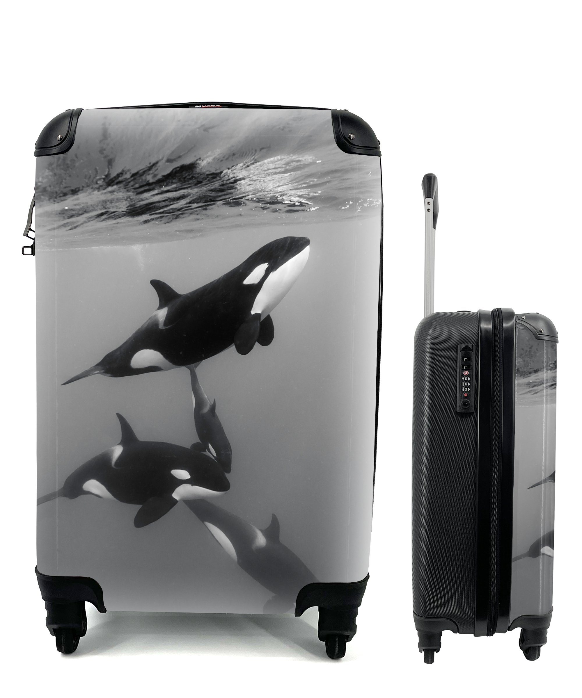 Handgepäckkoffer Orca - Wasser - Schwarz - Weiß