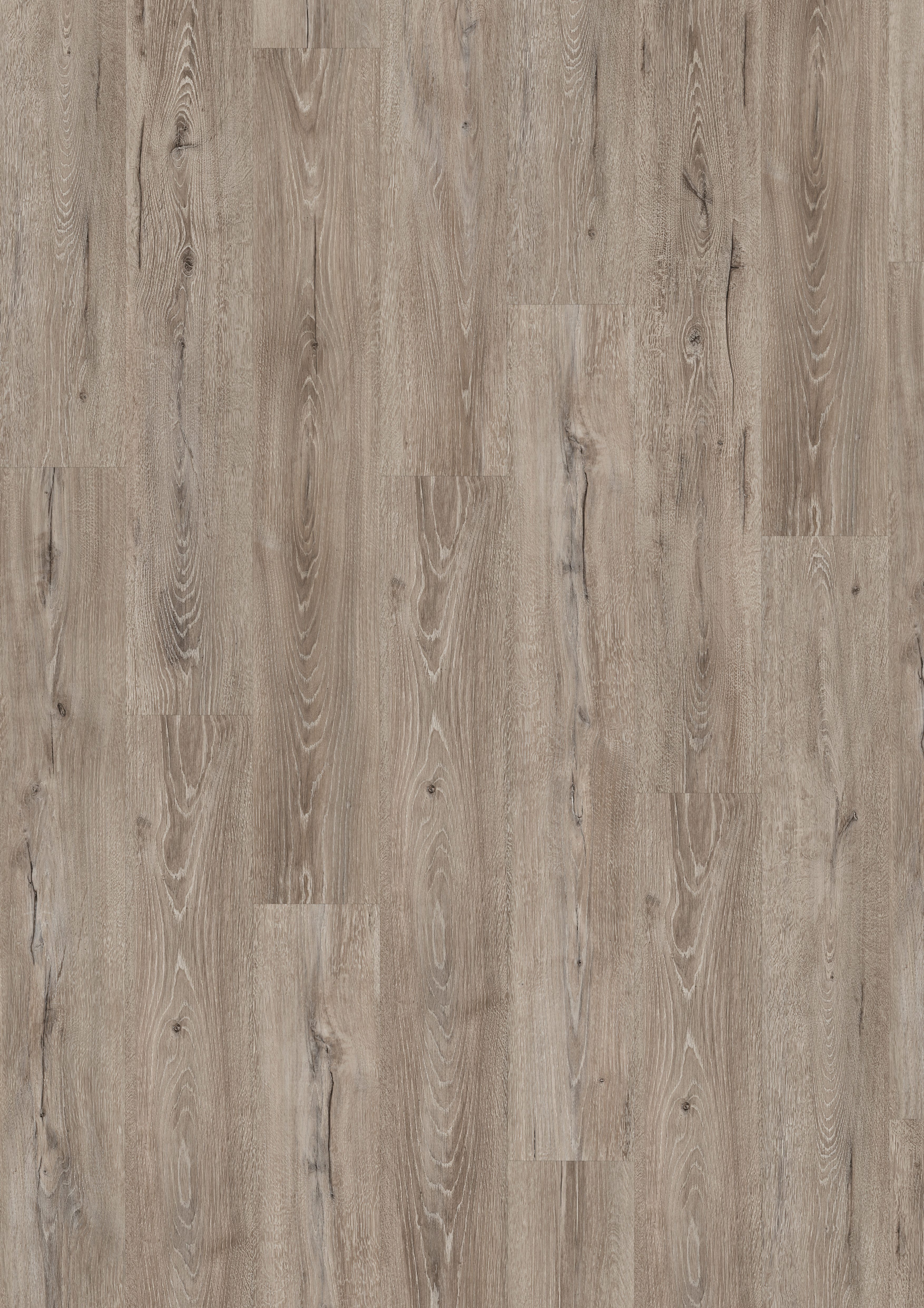 EGGER Vinylboden Aquadura EDF204 Panora Eiche grau (7,5mm; 1,995qm), Wasserbeständig, Holzbasierter elastischer Bodenbelag mit HDF Trägerplatte