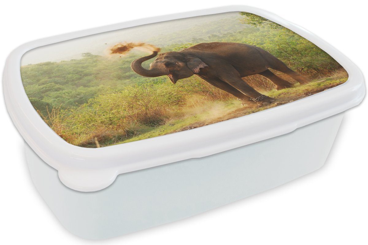 (2-tlg), - - Bäume, Mädchen Lunchbox MuchoWow Elefant und für Brotdose, und Erwachsene, Kinder Wald - Kunststoff, für Jungs weiß Brotbox Tiere
