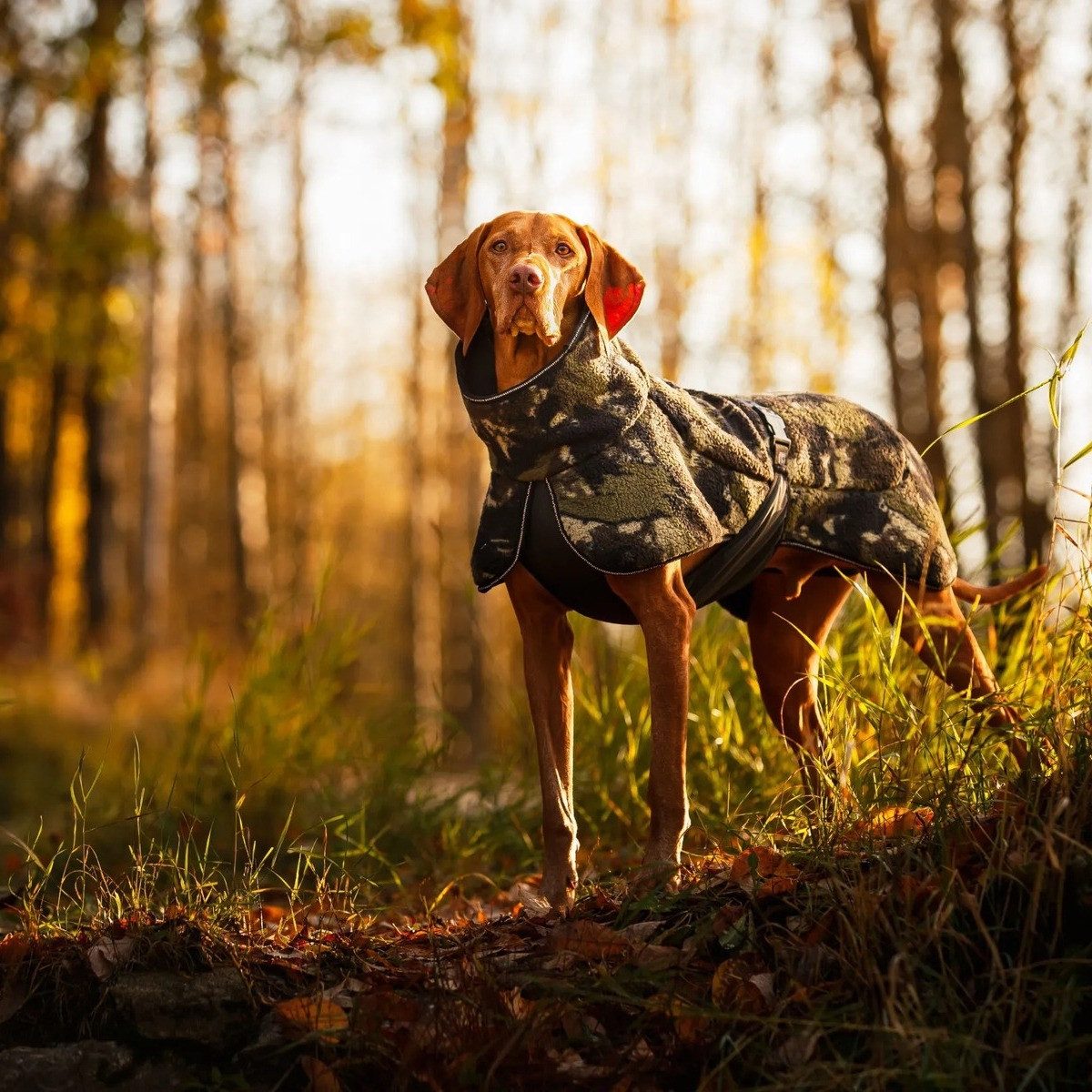 Rukka Hundemantel Jacke Comfy Pile camouflage