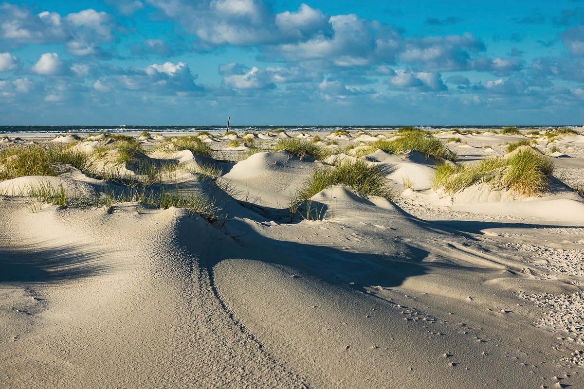 WÜSTE NORD Papermoon Fototapete SAND DÜNEN-NATUR STRAND MEER LANDSCHAFT SEE