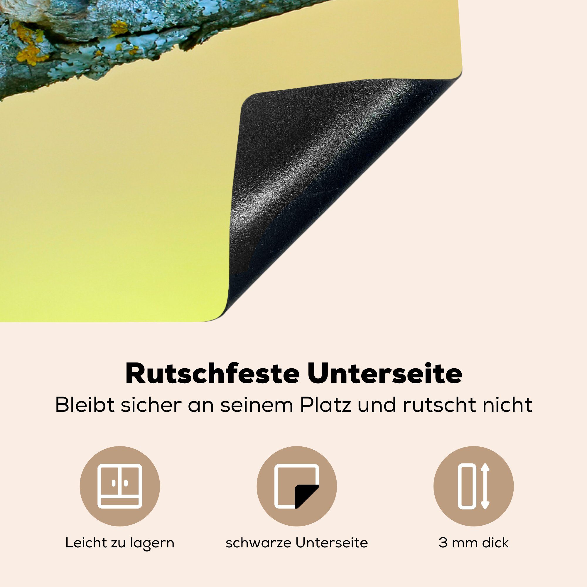 die tlg), Induktionskochfeld für cm, Schutz Ceranfeldabdeckung Zweig - - Eisvogel (1 81x52 Vinyl, küche, Blau, MuchoWow Herdblende-/Abdeckplatte