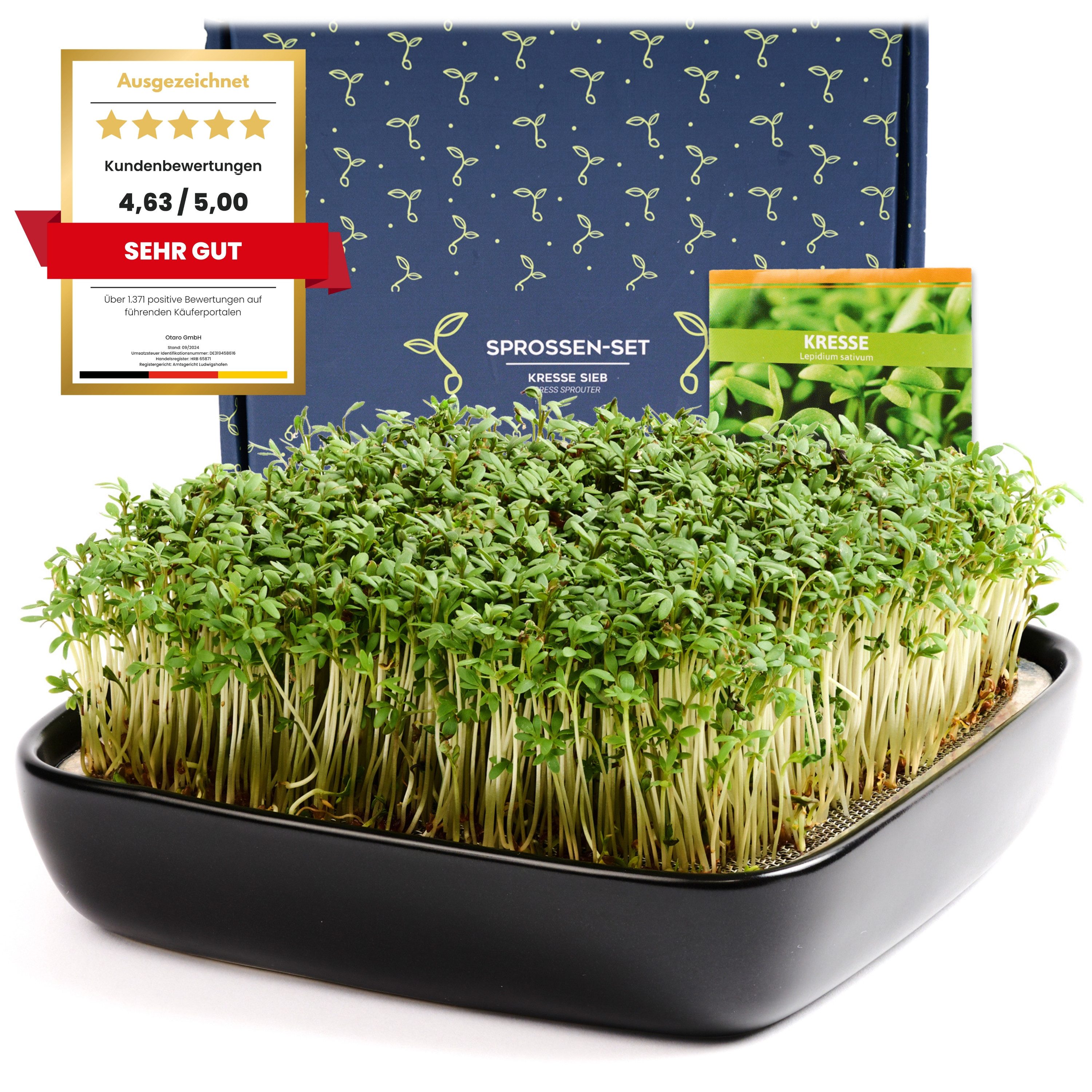 Otaro Pflanzschale Kressesieb Sprossenset mit Keramikschale + Edelstahlsieb + Kressesamen, 100% rostfreies Edelstahlsieb in skandinavischem Look