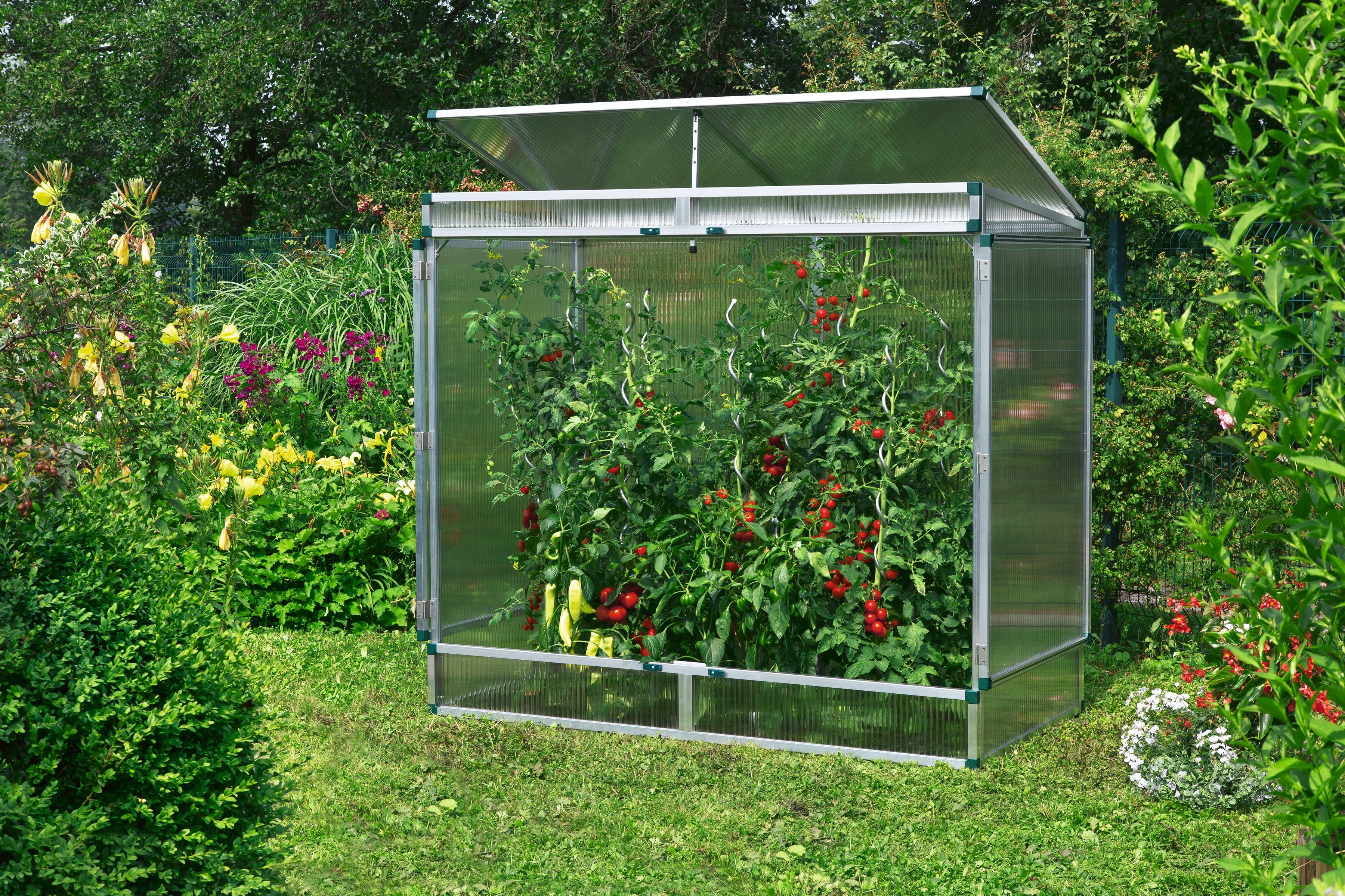 Beckmann Tomaten-Gewächshaus »Gr. 2«, B/T/H: 201/107/183 ...