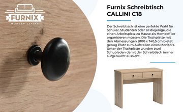 Furnix Schreibtisch CALLINI C18 Arbeitsplatz mit zwei Schubladen Eiche Artisan, B100 x H78 x T40,5 cm