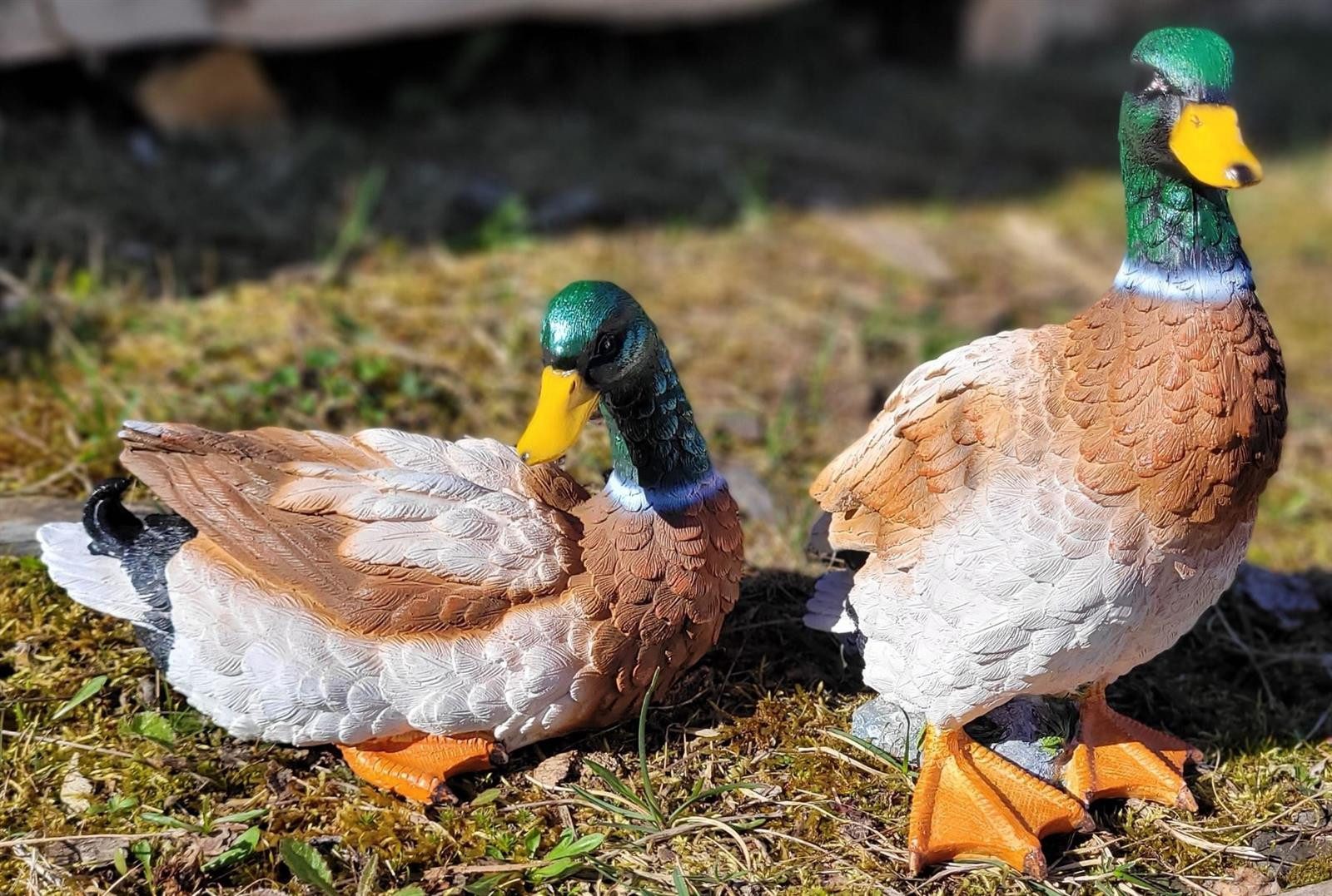 Geschenkestadl Tierfigur 2 Enten Entenpaar stehend/liegend Dekoration Haus Teich Garten Deko (2 St) – Bild 4 von 4