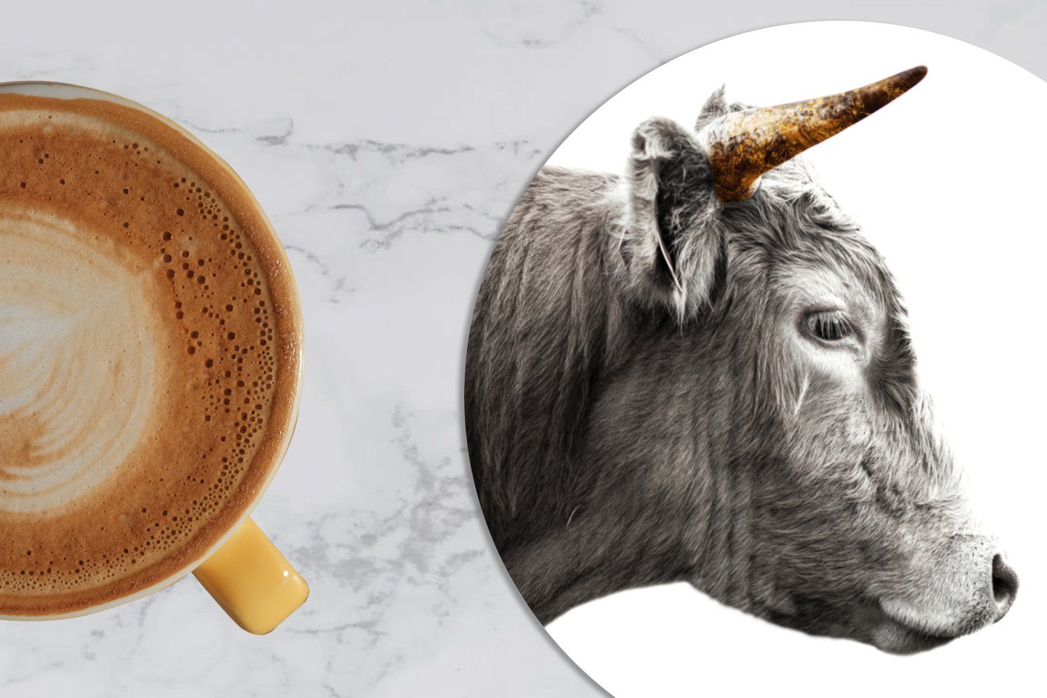 für - Tiere Tasse, Gläser, 6-tlg., Kuh, Korkuntersetzer, Tassenuntersetzer, Becher Getränkeuntersetzer, Zubehör MuchoWow Glasuntersetzer - Schottischer Highlander