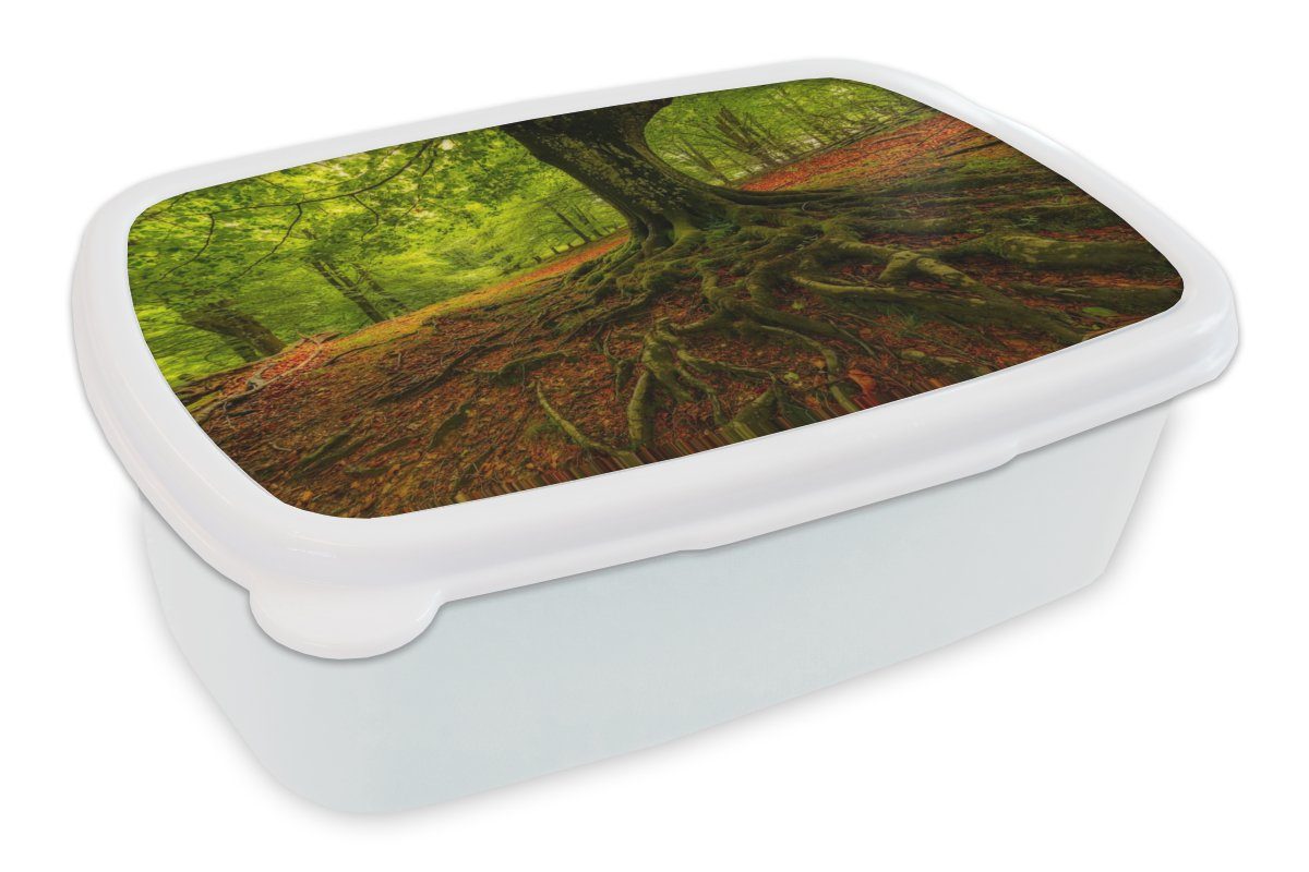 MuchoWow Lunchbox Baum - Wald - Herbstblätter, Kunststoff, (2-tlg), Brotbox für Kinder und Erwachsene, Brotdose, für Jungs und Mädchen weiß