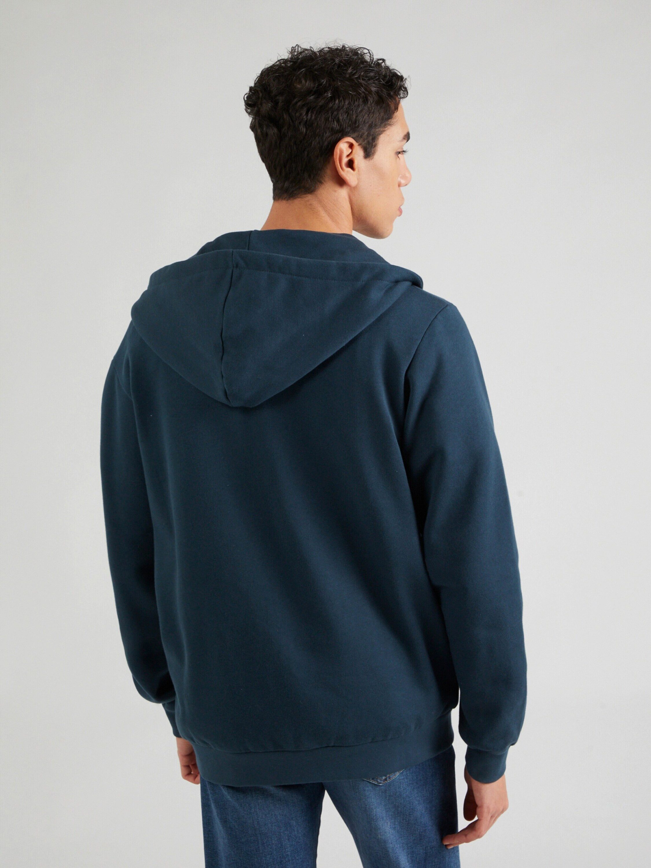 iriedaily Sweatjacke Mini Flag 2 (1-tlg)