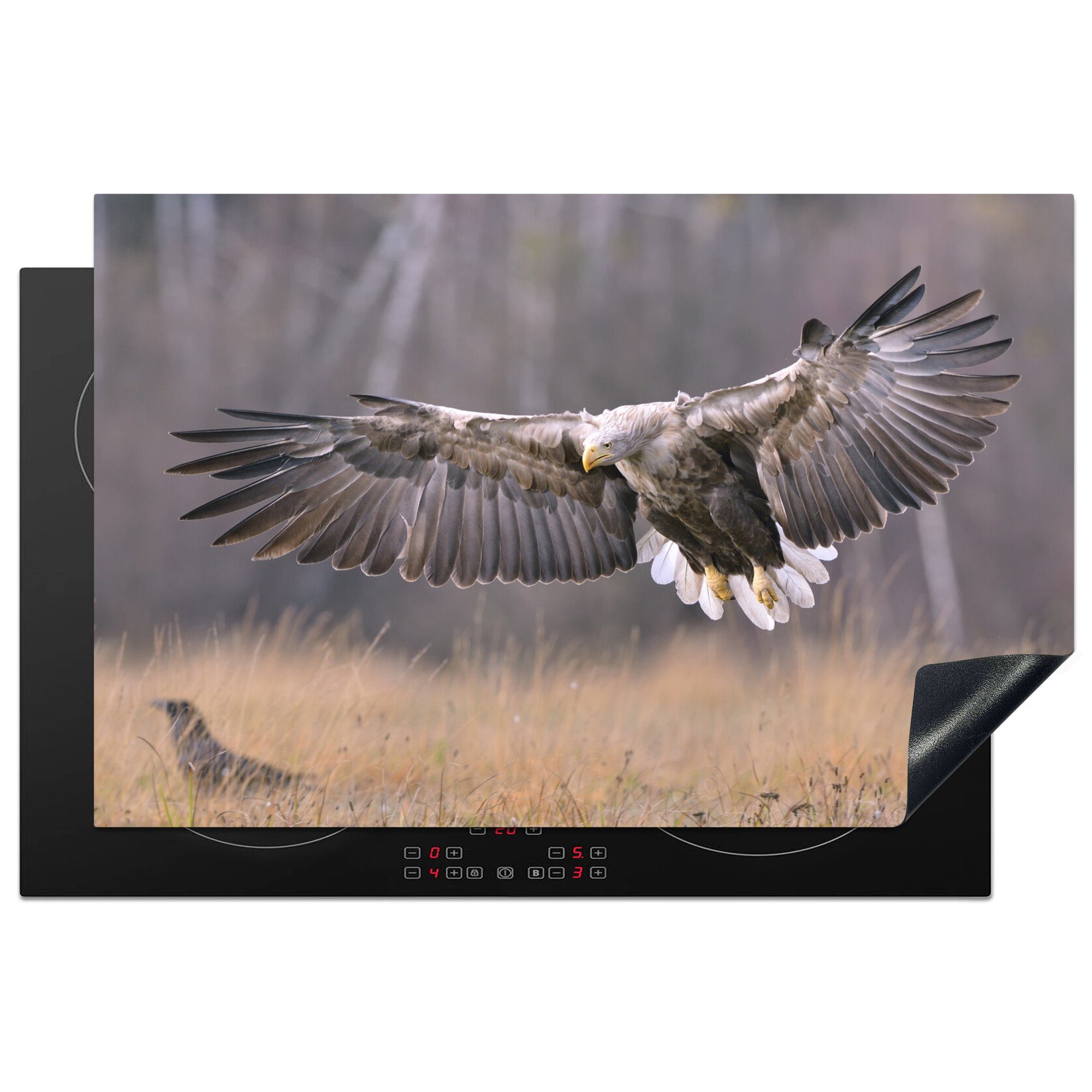 MuchoWow Herdblende-/Abdeckplatte Ein europäischer Seeadler breitet seine Schwingen aus, Vinyl, (1 tlg), 81x52 cm, Induktionskochfeld Schutz für die küche, Ceranfeldabdeckung