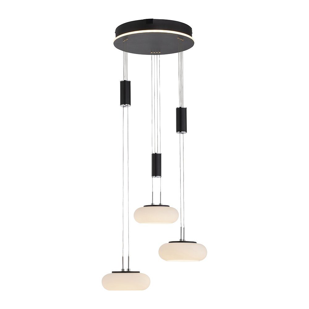 Paul Neuhaus Smarte LED-Leuchte LED Pendellampe günstig online kaufen