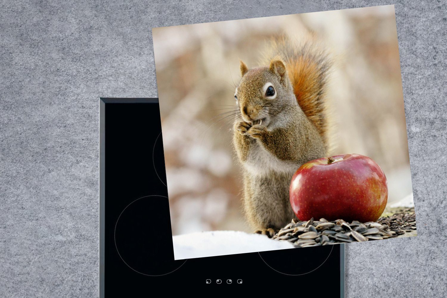 Ceranfeldabdeckung, tlg), Arbeitsplatte Vinyl, - Schnee, - küche Herdblende-/Abdeckplatte Eichhörnchen 78x78 Apfel Blumensamen cm, MuchoWow für - (1