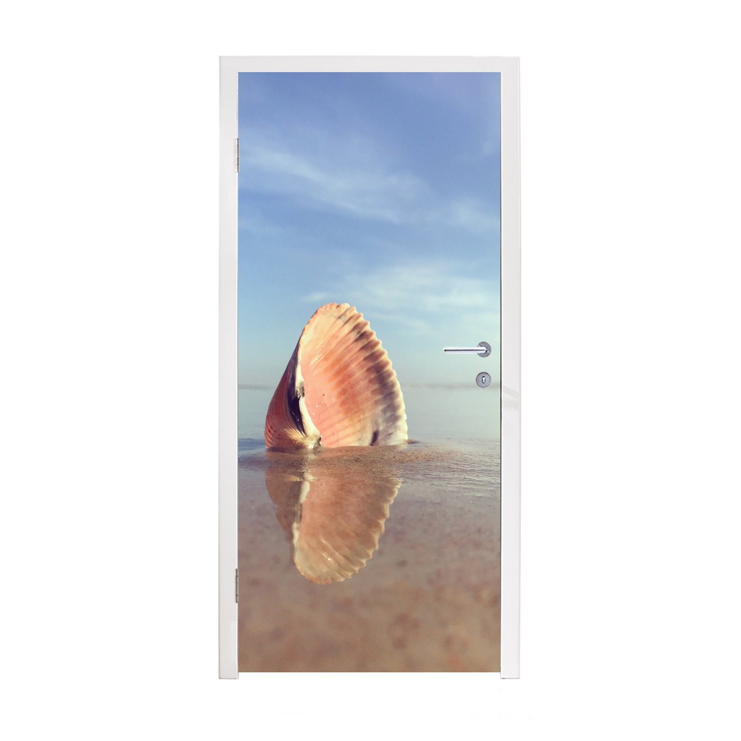 MuchoWow Türtapete Muschel - Strand - Meer, Matt, bedruckt, (1 St), Fototapete für Tür, Türaufkleber, 75x205 cm