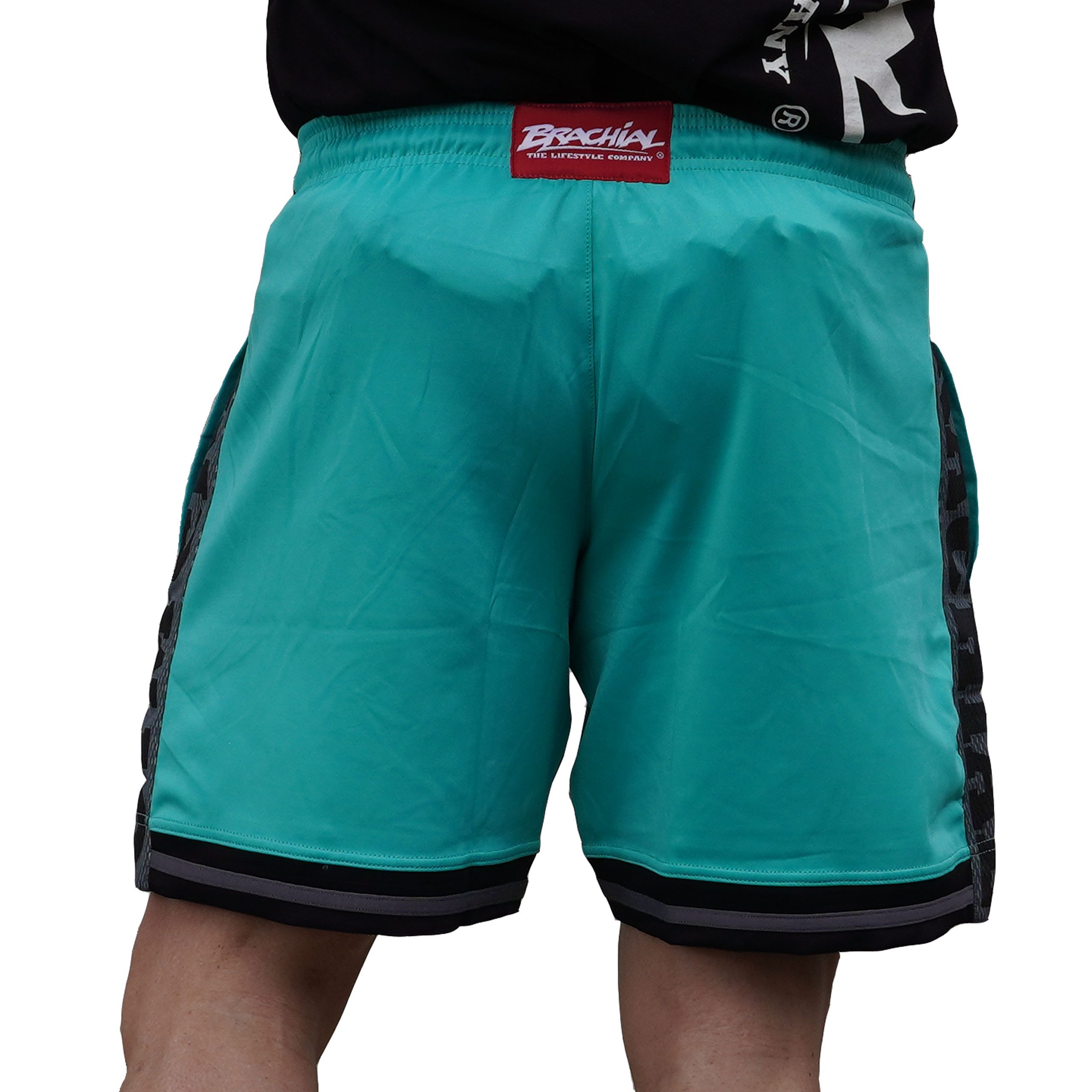 BRACHIAL THE LIFESTYLE COMPANY Trainingsshorts Brachial Short "Colors" grün/grau