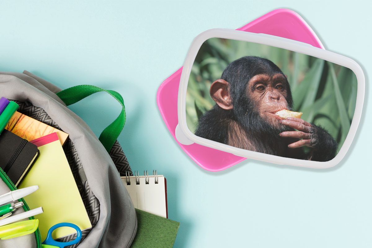 Kunststoff Nahaufnahme Mädchen, Snackbox, für (2-tlg), Brotdose Erwachsene, MuchoWow Brotbox Kinder, Lunchbox Kunststoff, essender Schimpansen-Affe, rosa