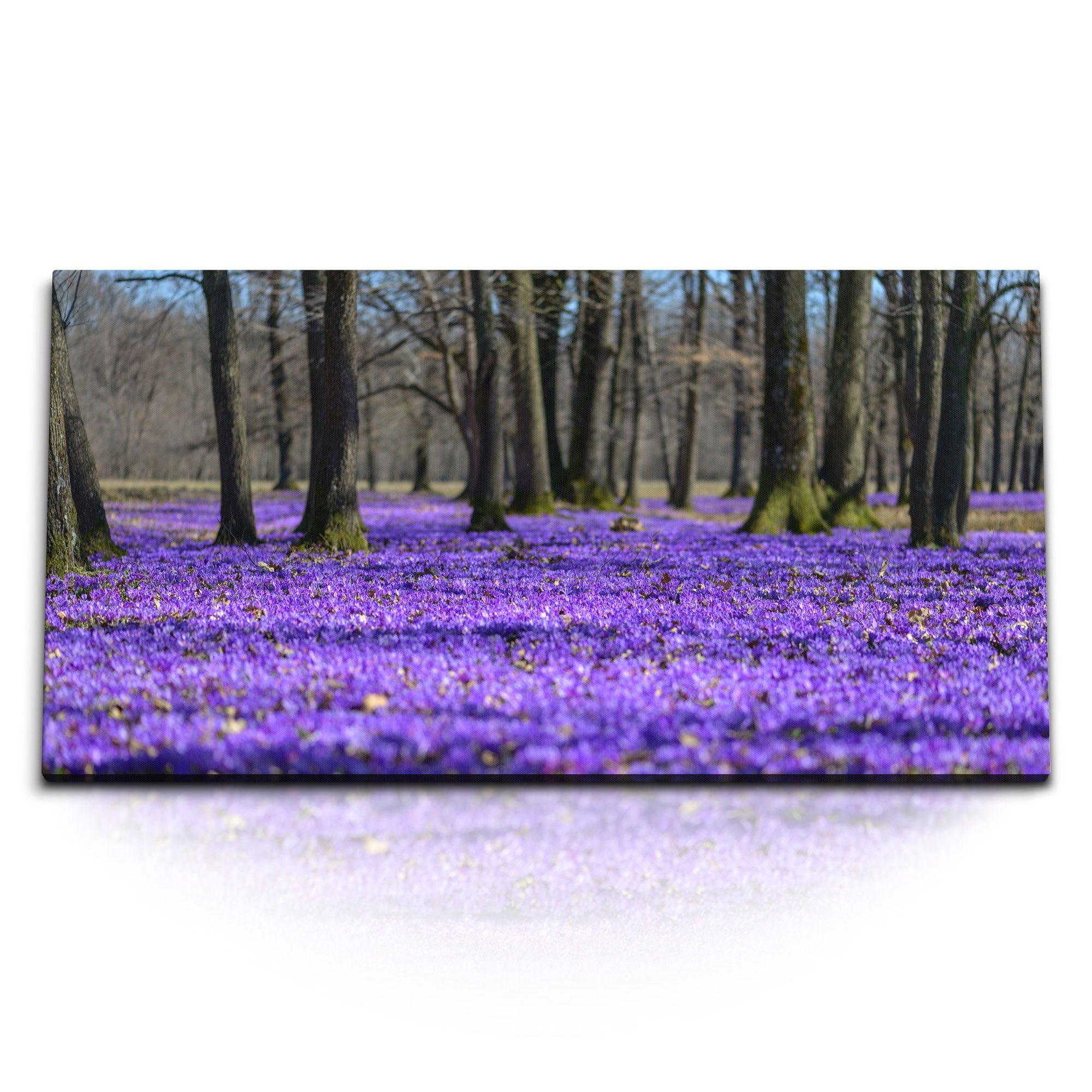 Leinwandbild Kunstdruck Bilder 120x60cm Violette Blüten Blumen Natur Bäume