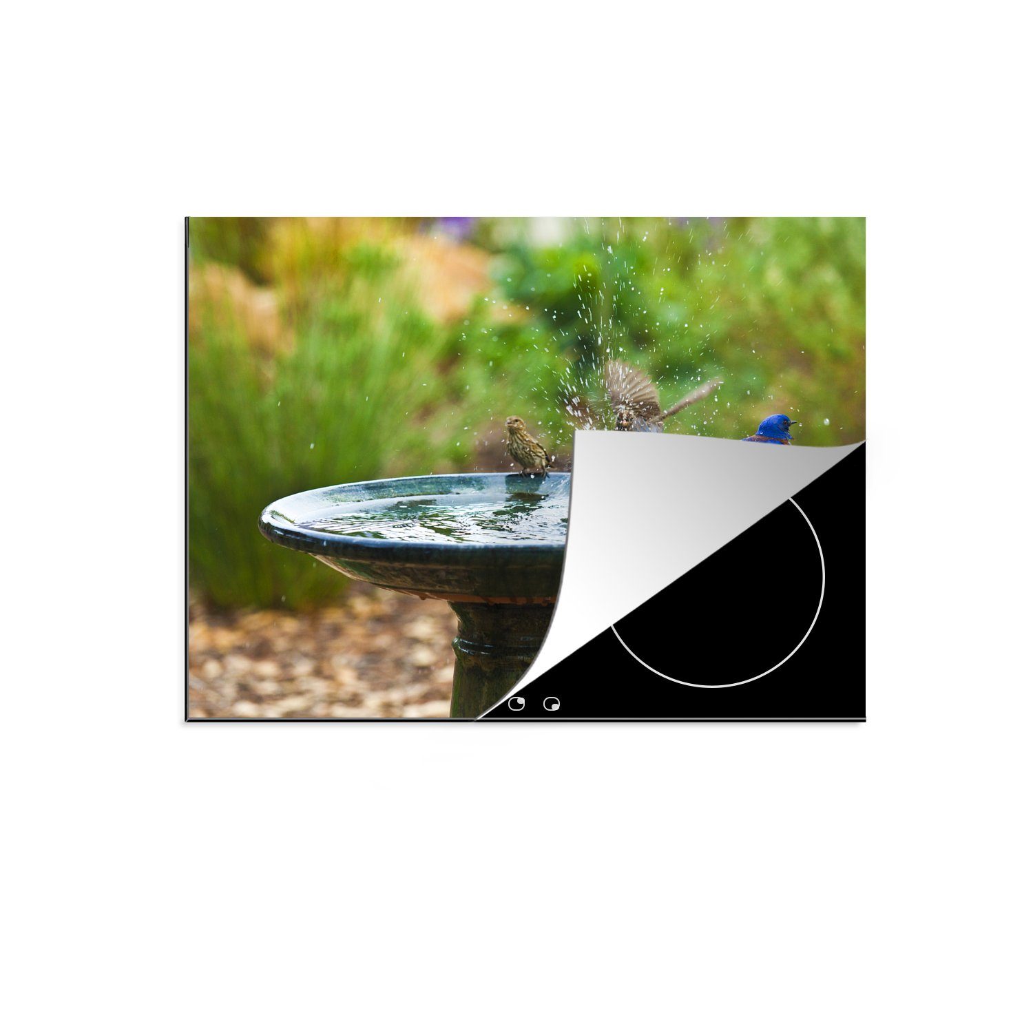 MuchoWow Herdblende-/Abdeckplatte Vogeltränke - Vogel - Wasser, Vinyl, (1 tlg), 60x52 cm, Mobile Arbeitsfläche nutzbar, Ceranfeldabdeckung