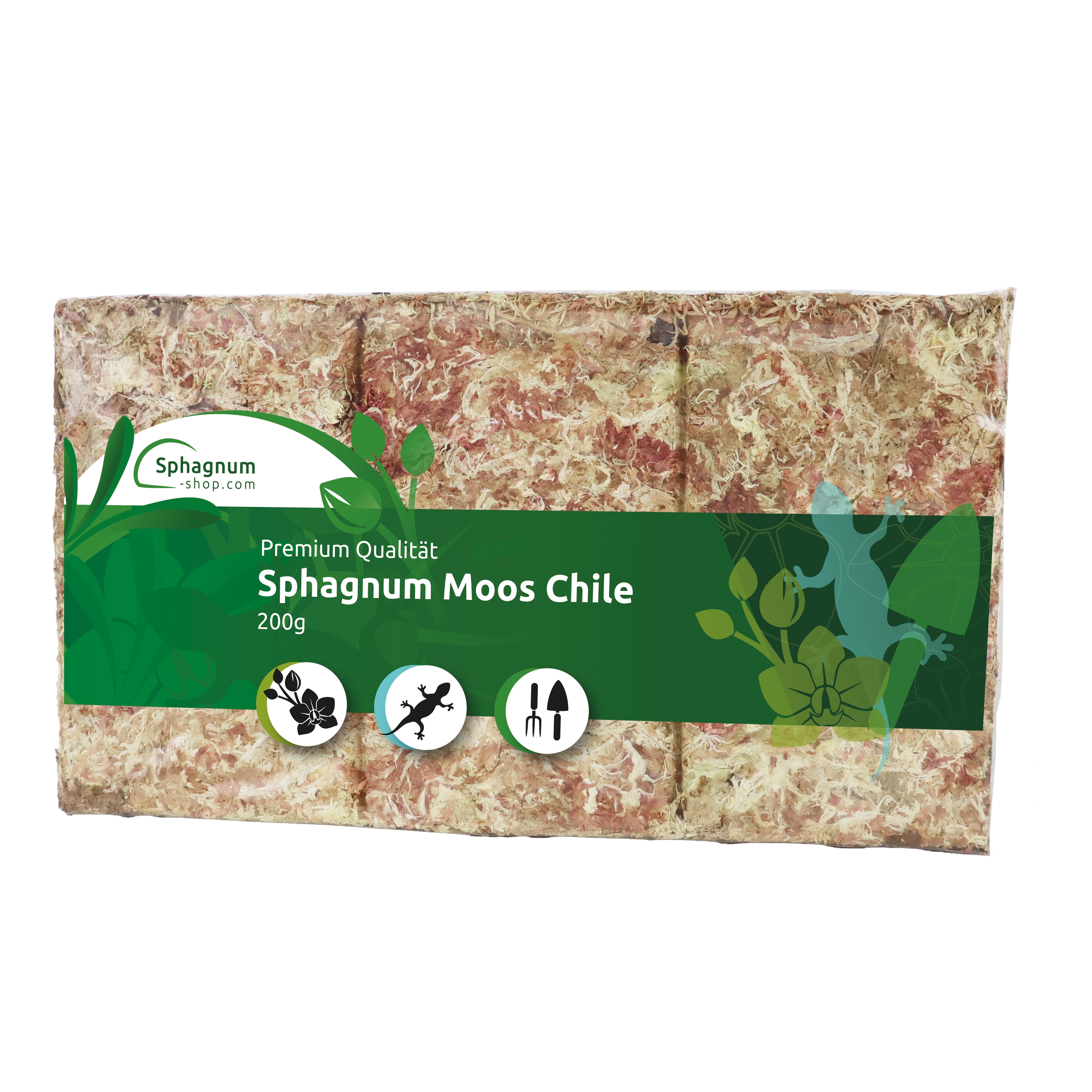 sphagnum-shop.com Terrarien-Substrat Sphagnum Moos Moosziegel aus Chile für Terrarium und Orchideen, Chilenische Premium-Qualität, Ideal für Pflanzenpflege & Terraristik