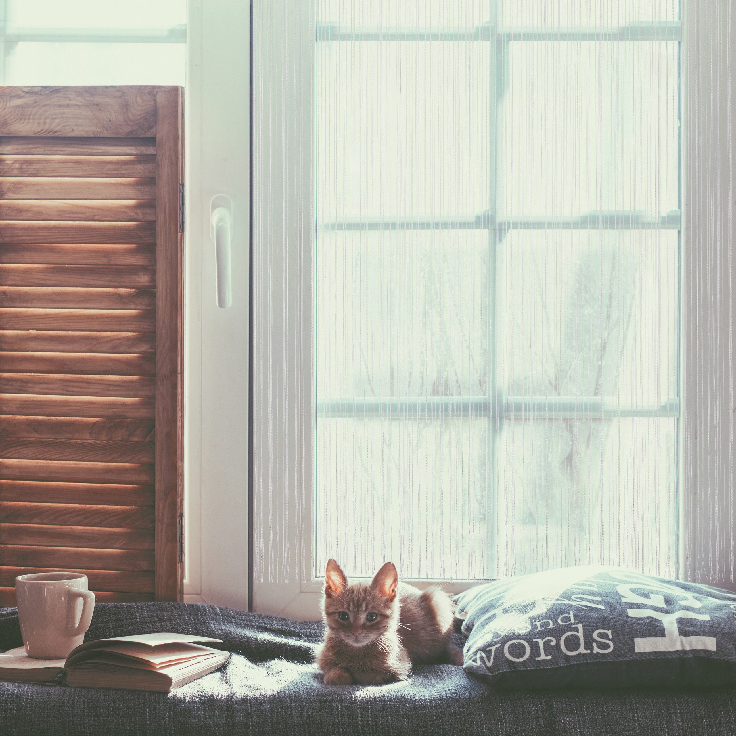 relaxdays Fadenvorhang weiß, 2er Pack 145x245cm günstig online kaufen