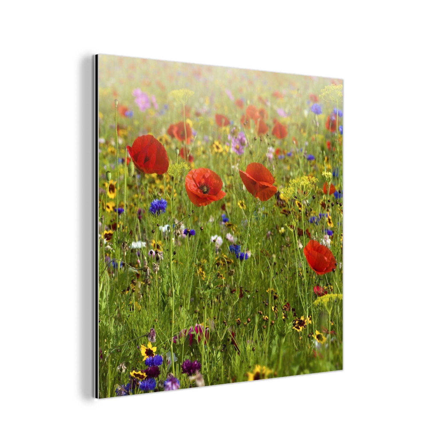 MuchoWow Metallbild Frühling - Blumen - Rot - Mohn - Gras - Grün, (1 St), Alu-Dibond-Druck, Gemälde aus Metall, Aluminium deko