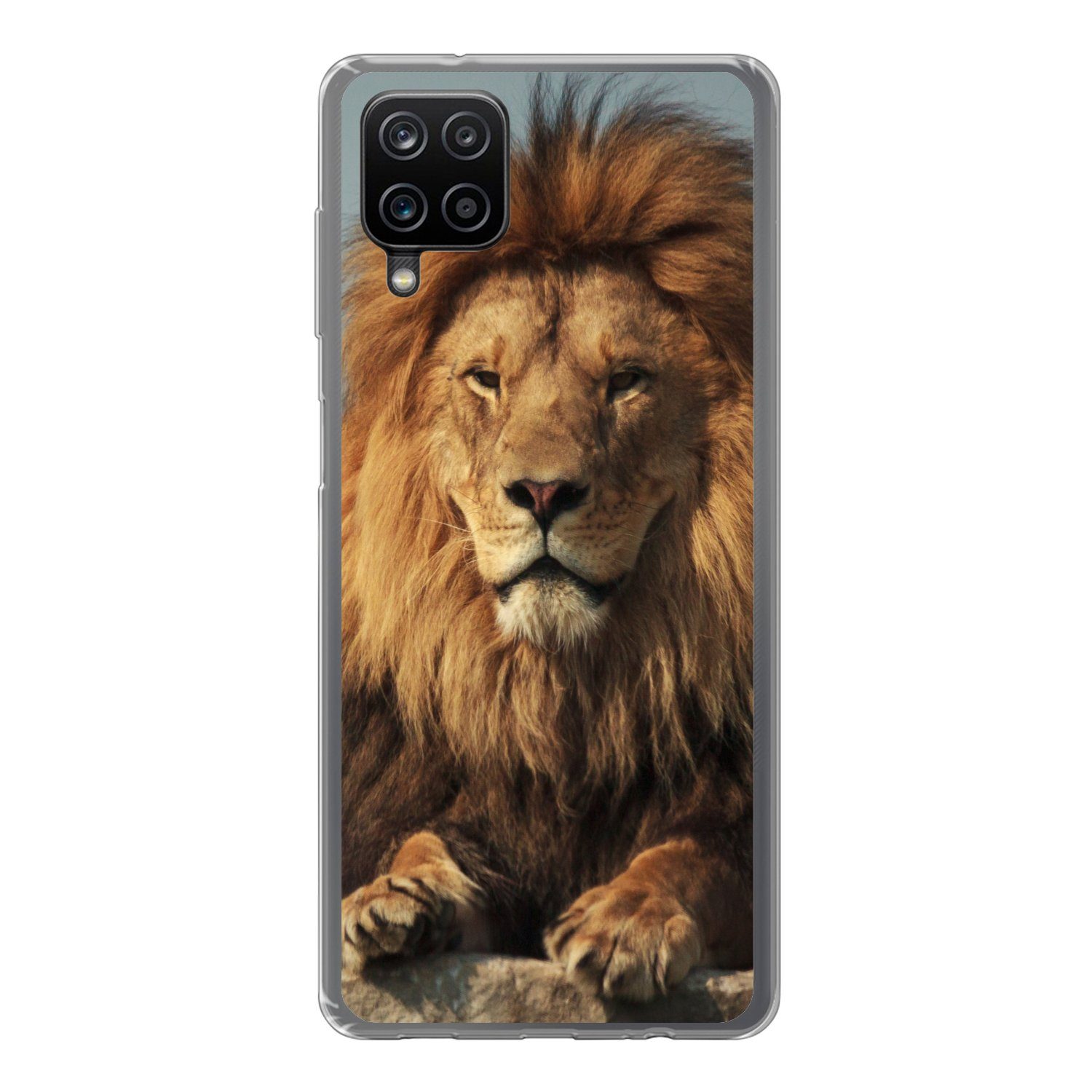 MuchoWow Handyhülle für Samsung Galaxy A12 Löwe - Felsen - Porträt, Smartphone-Bumper, Print, Handy Schutzhülle Dünn