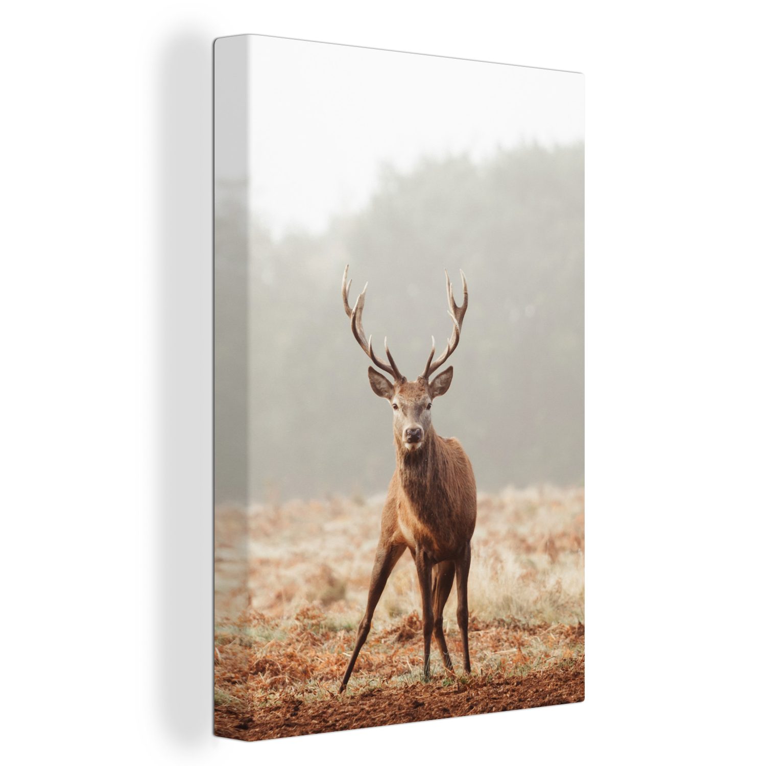 20x30 Leinwandbild OneMillionCanvasses® (1 Nebel, Hirsche fertig St), Leinwandbild inkl. Zackenaufhänger, cm Gemälde, bespannt Wald - -