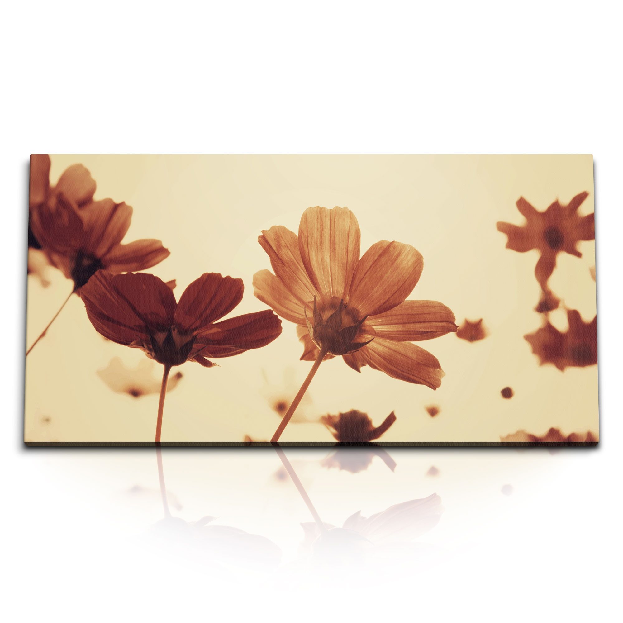 Leinwandbild Kunstdruck Bilder 120x60cm Blumen Blüten Himmel Vintage Natur Sommer