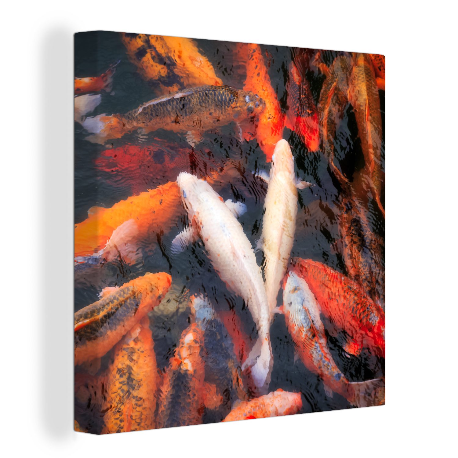 OneMillionCanvasses® Leinwandbild Ein Teich mit Koi-Karpfen von oben, (1 St), Leinwand Bilder für Wohnzimmer Schlafzimmer