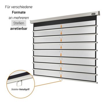 Celexon Professional Rolloleinwand (234 x 176cm, 4:3, Gain 1,2)