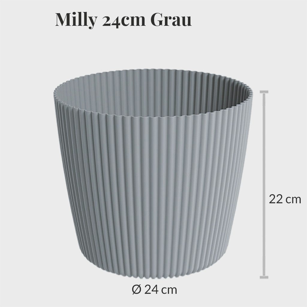 Green Me Up Zimmerpflanze Bogenhanf Sansevieria - pflegeleichte Zimmerpflanze - Höhe 80-90 cm -