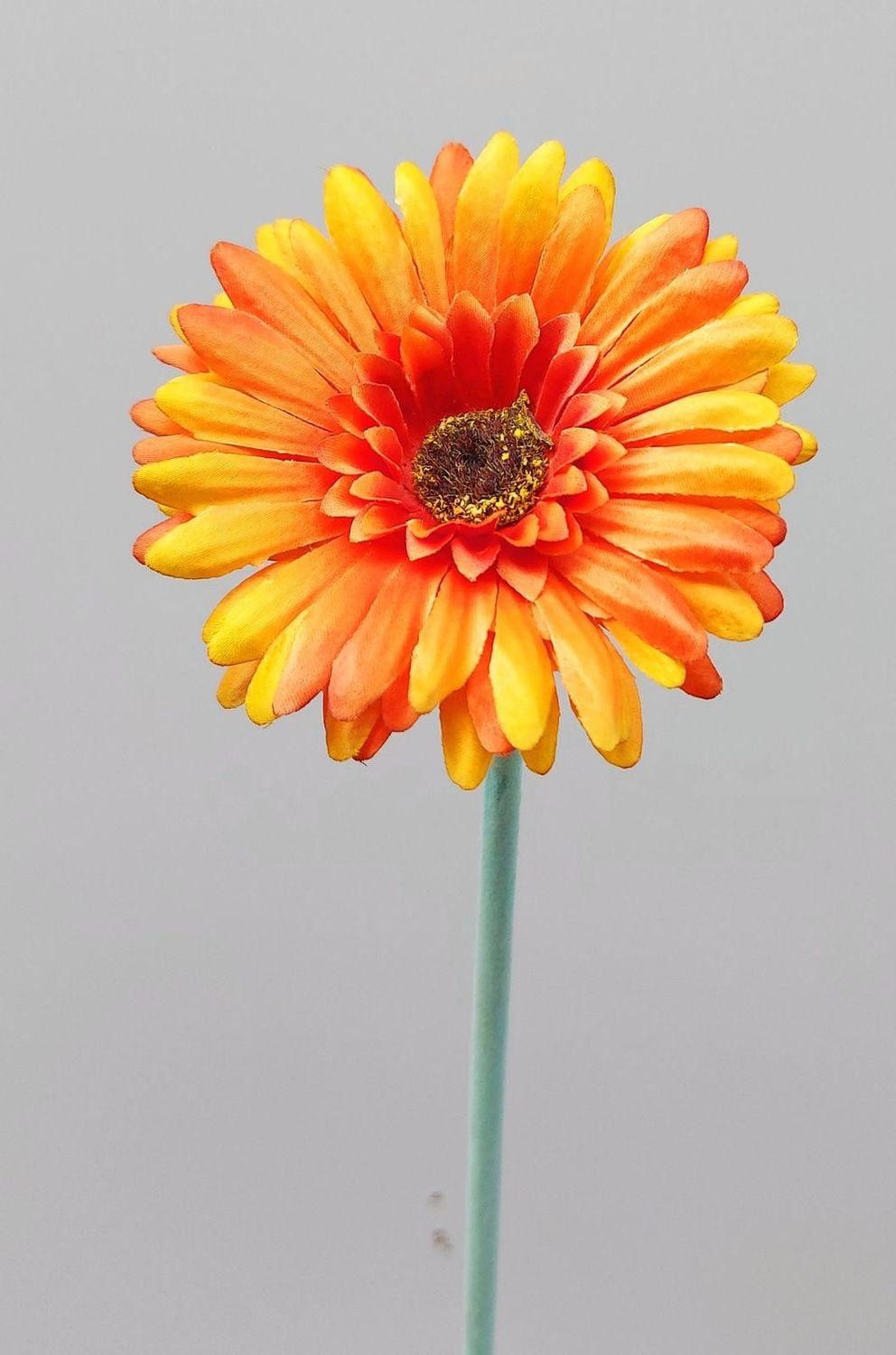 Kunstblume Deko Blume Gerbera TEUDELINDE, orange, 55cm, Ø8cm Gerbera, artplants, Höhe 55.0 cm
