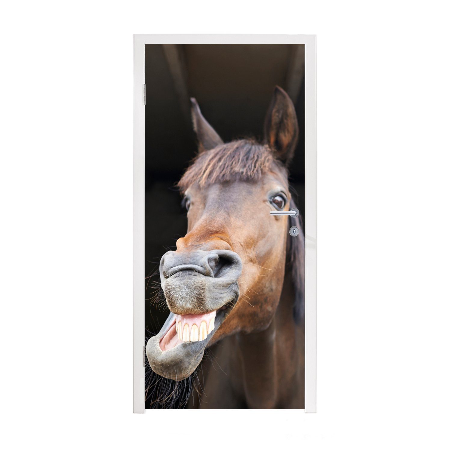 MuchoWow Türtapete Pferd - Lustig - Stall - Kinder - Jungen - Mädchen - Kinder, Matt, bedruckt, (1 St), Fototapete für Tür, Türaufkleber, 75x205 cm