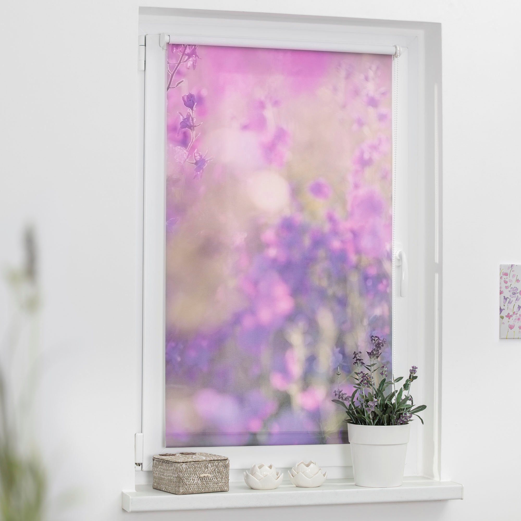 Seitenzugrollo Klemmfix Motiv Blumenwiese, LICHTBLICK ORIGINAL, günstig online kaufen